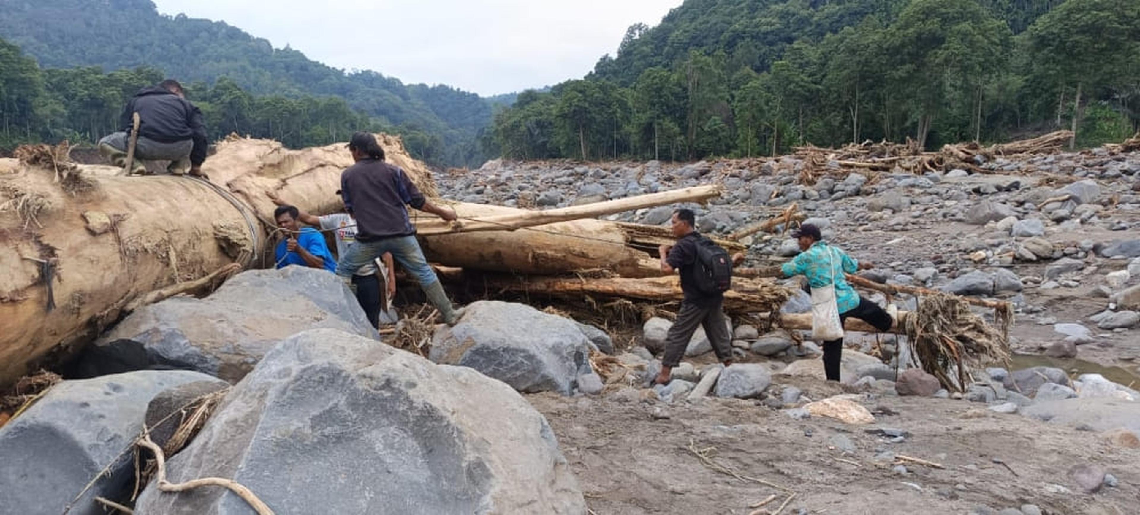 mensen halen bomen uit een rivier