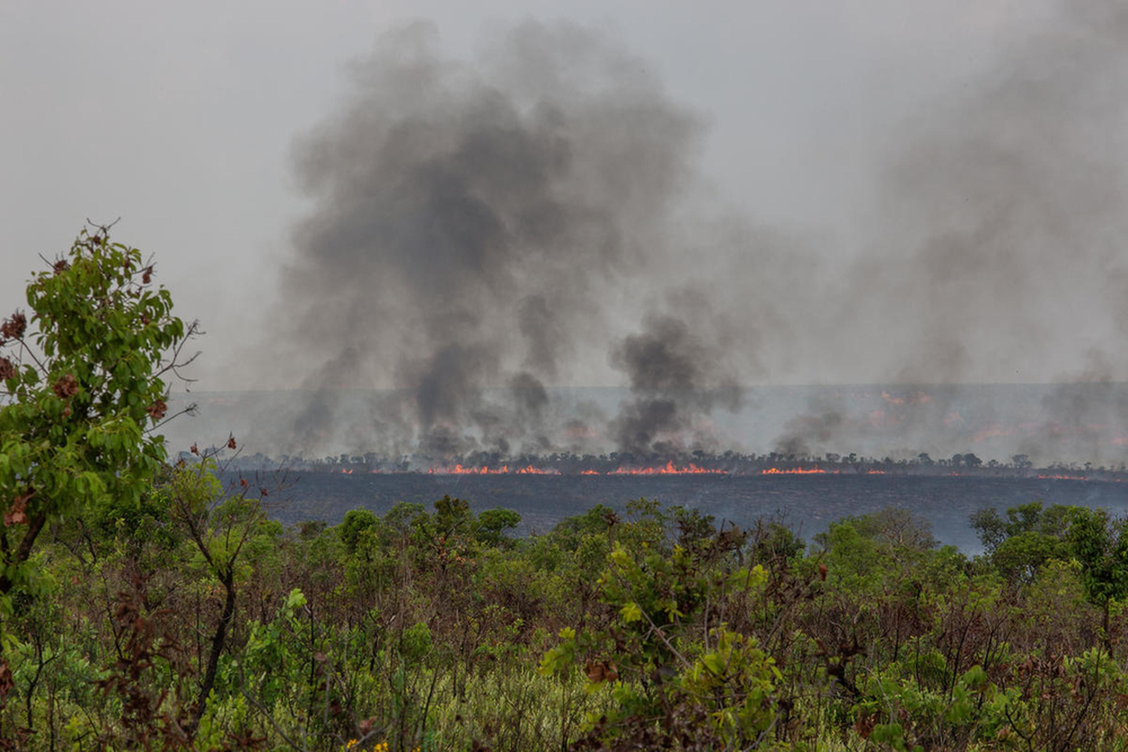 Grote brand in de Cerrado, Brazilië