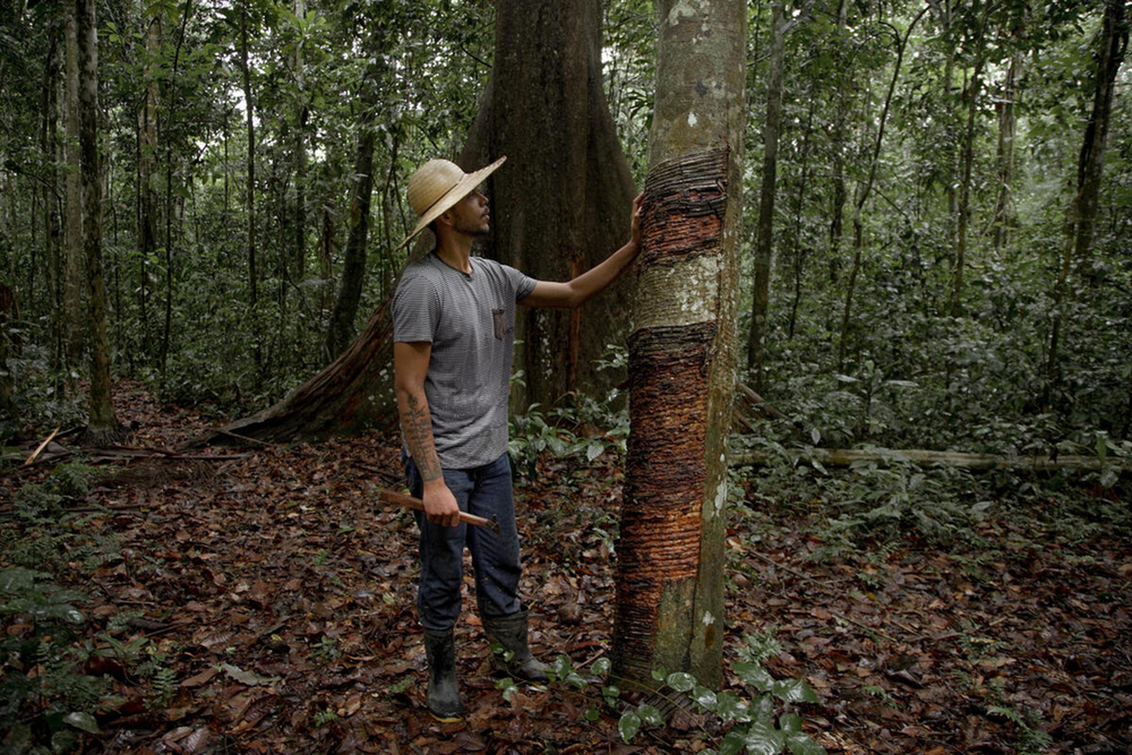 Rogério Barros, jonge man bij boom, Chico Mendes district, Brazilie