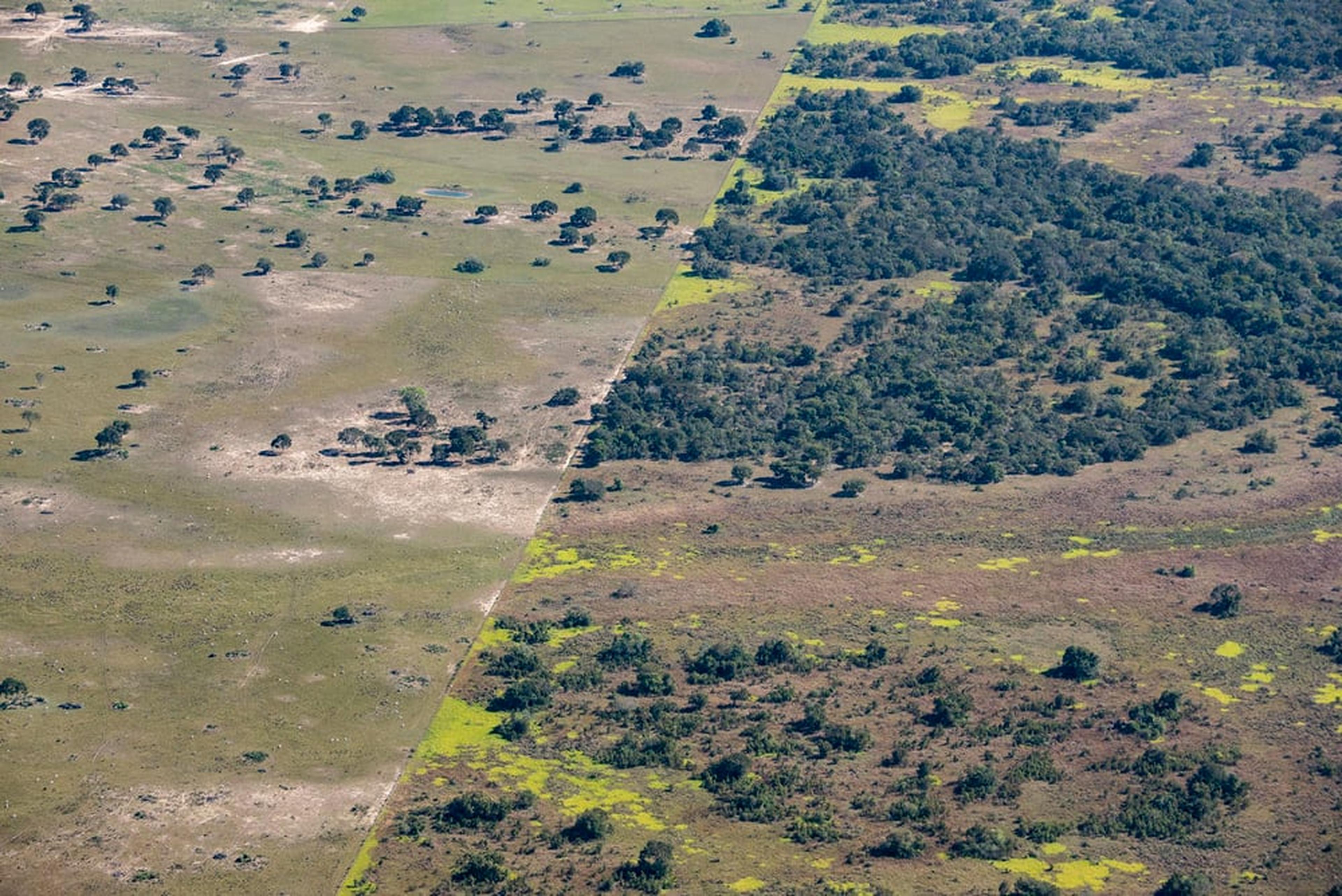 Ontbossing Cerrado en Pantanal Mato Grosso do Sul, Brazilië van bovenaf