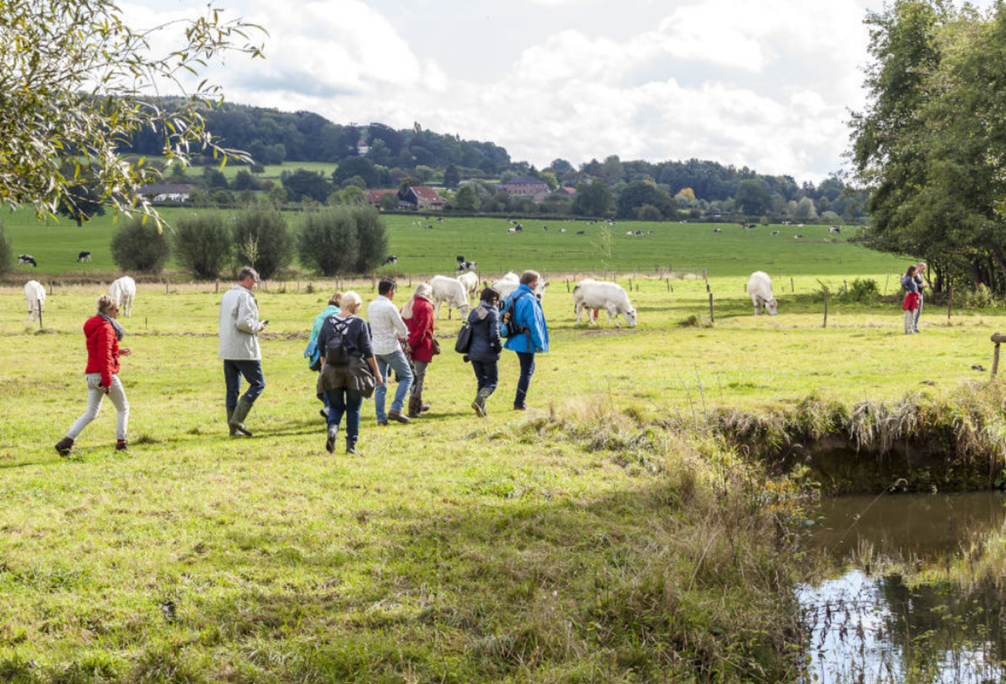 Mensen wandelen door een weiland