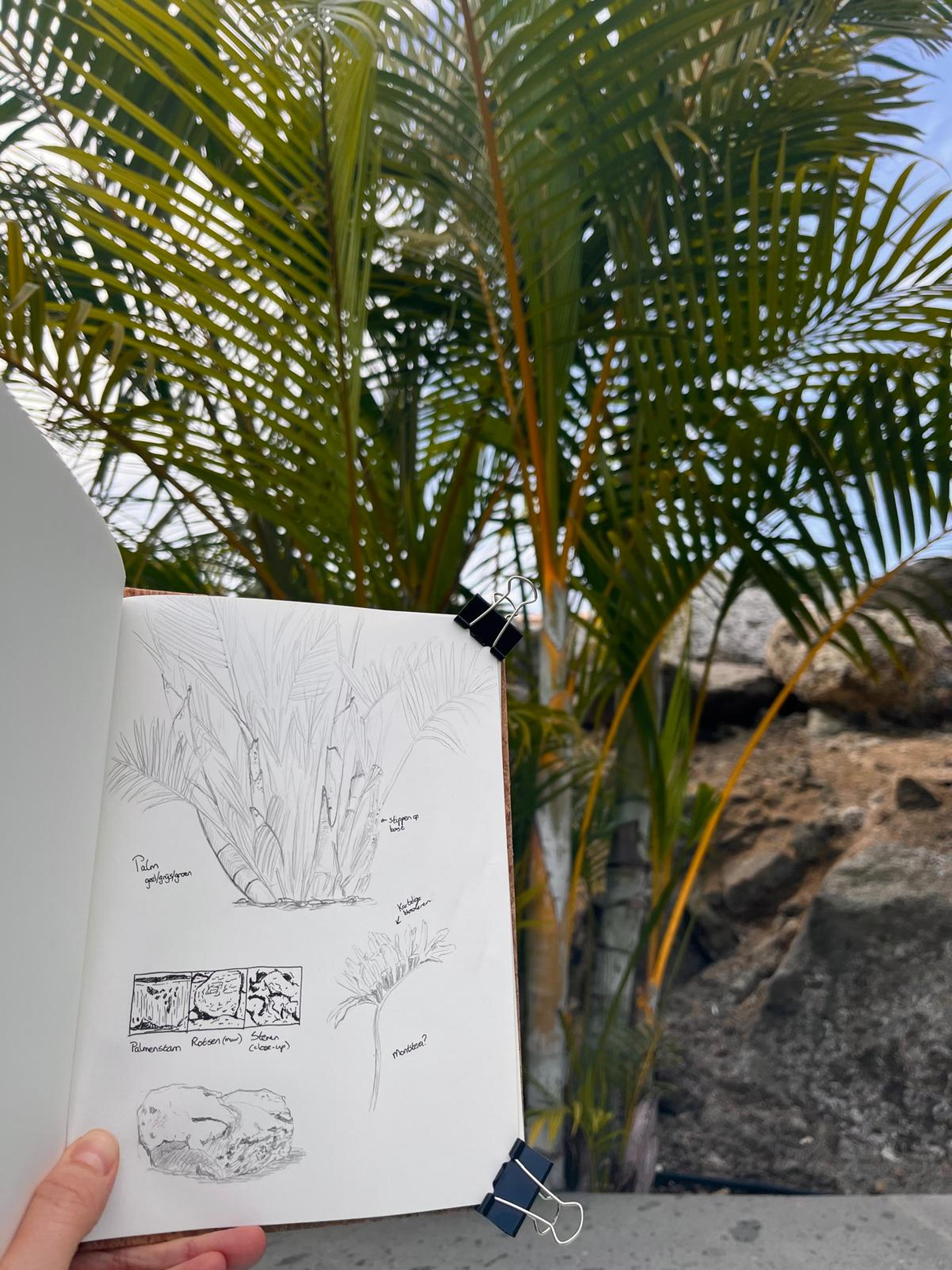 Workshop natuurschetsen