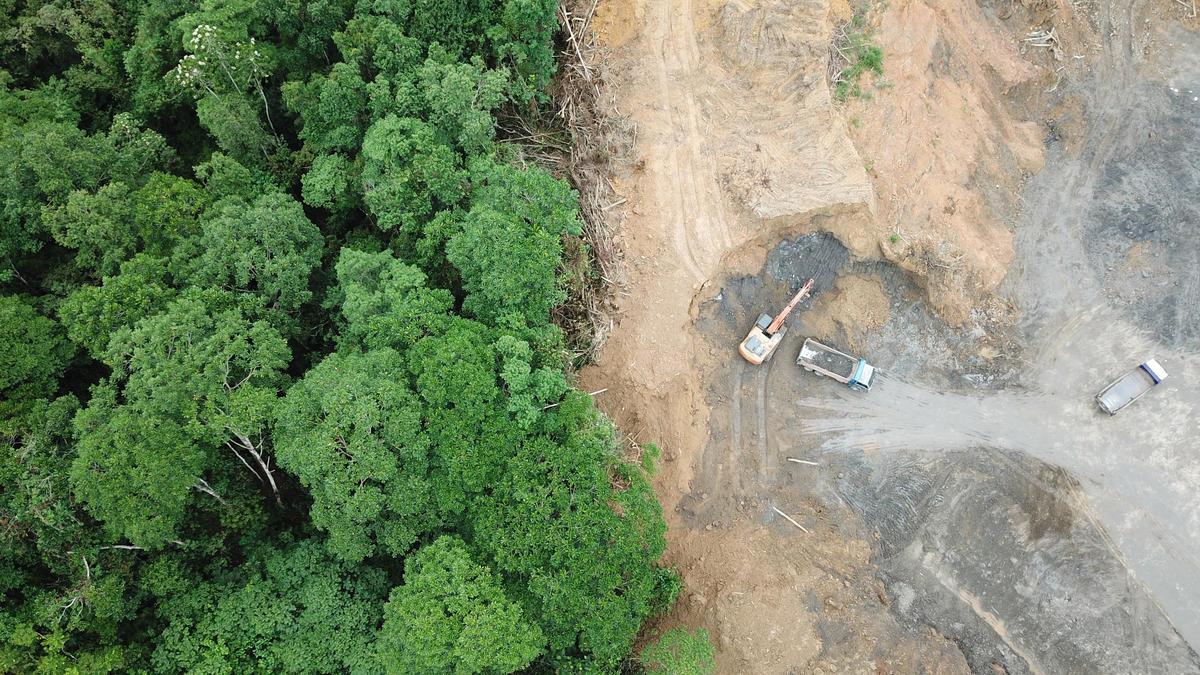Ontbossing van bovenaf gezien, Borneo