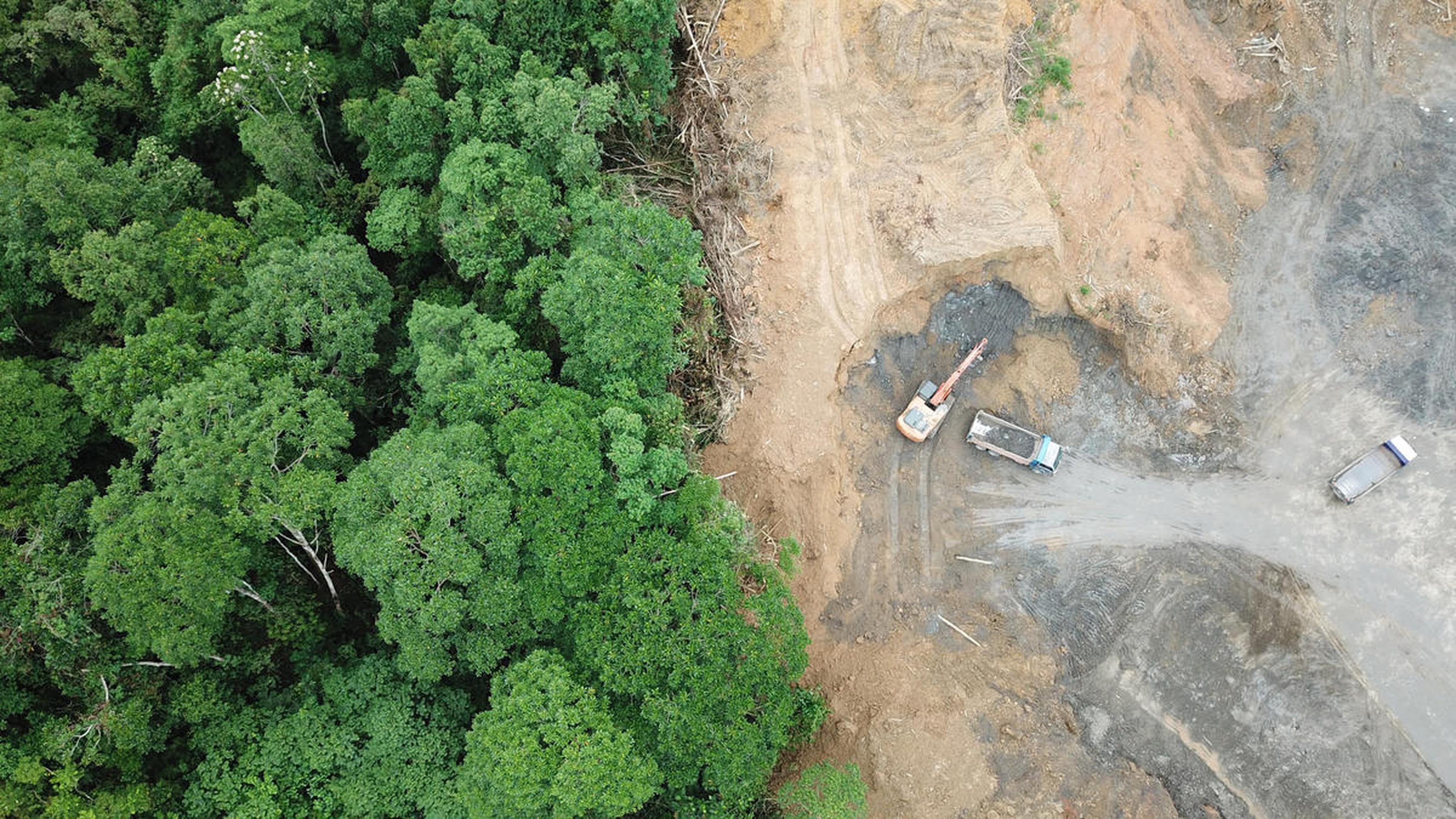 Ontbossing van bovenaf gezien, Borneo
