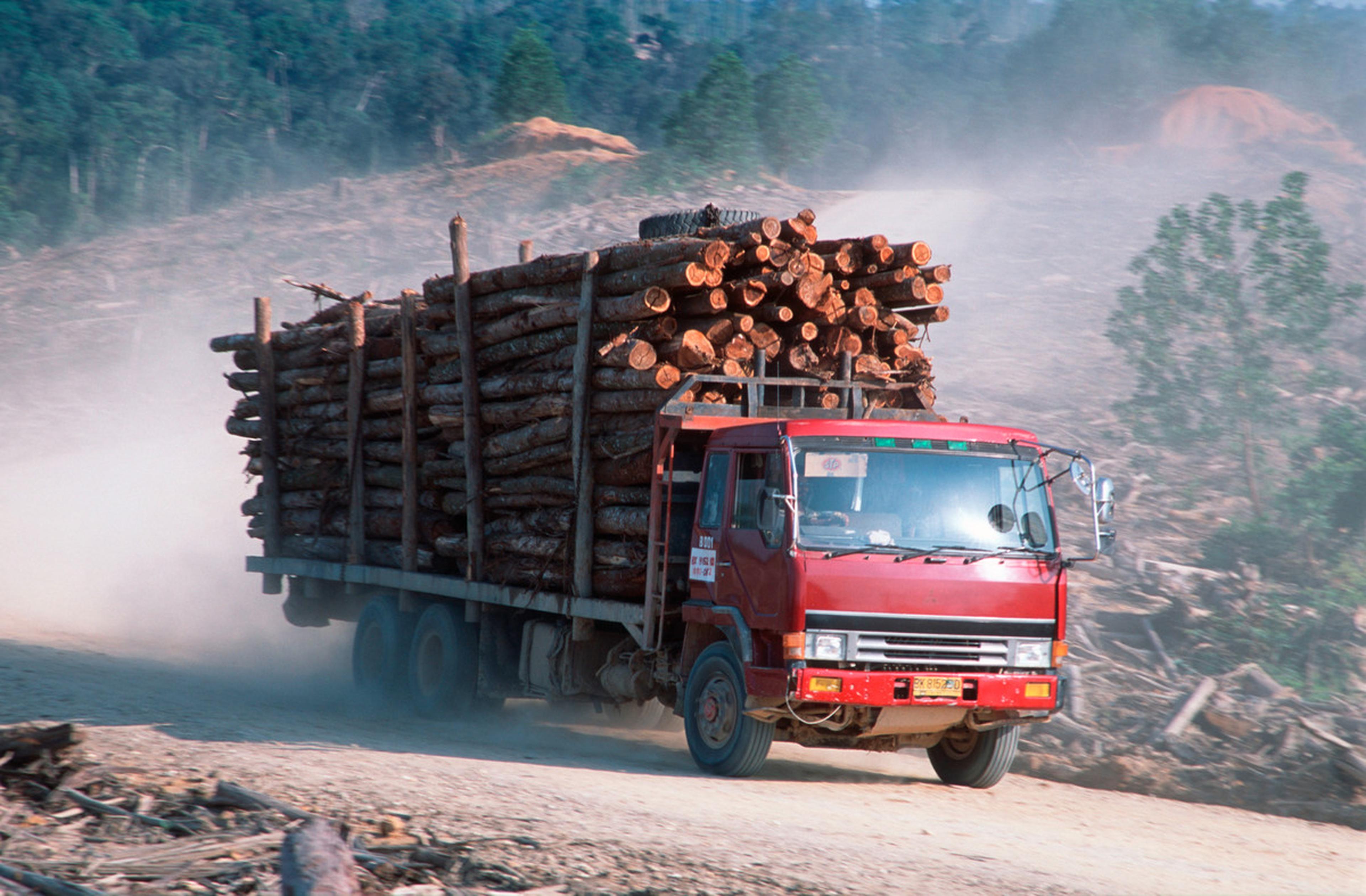 vrachtwagen met gekapt hout