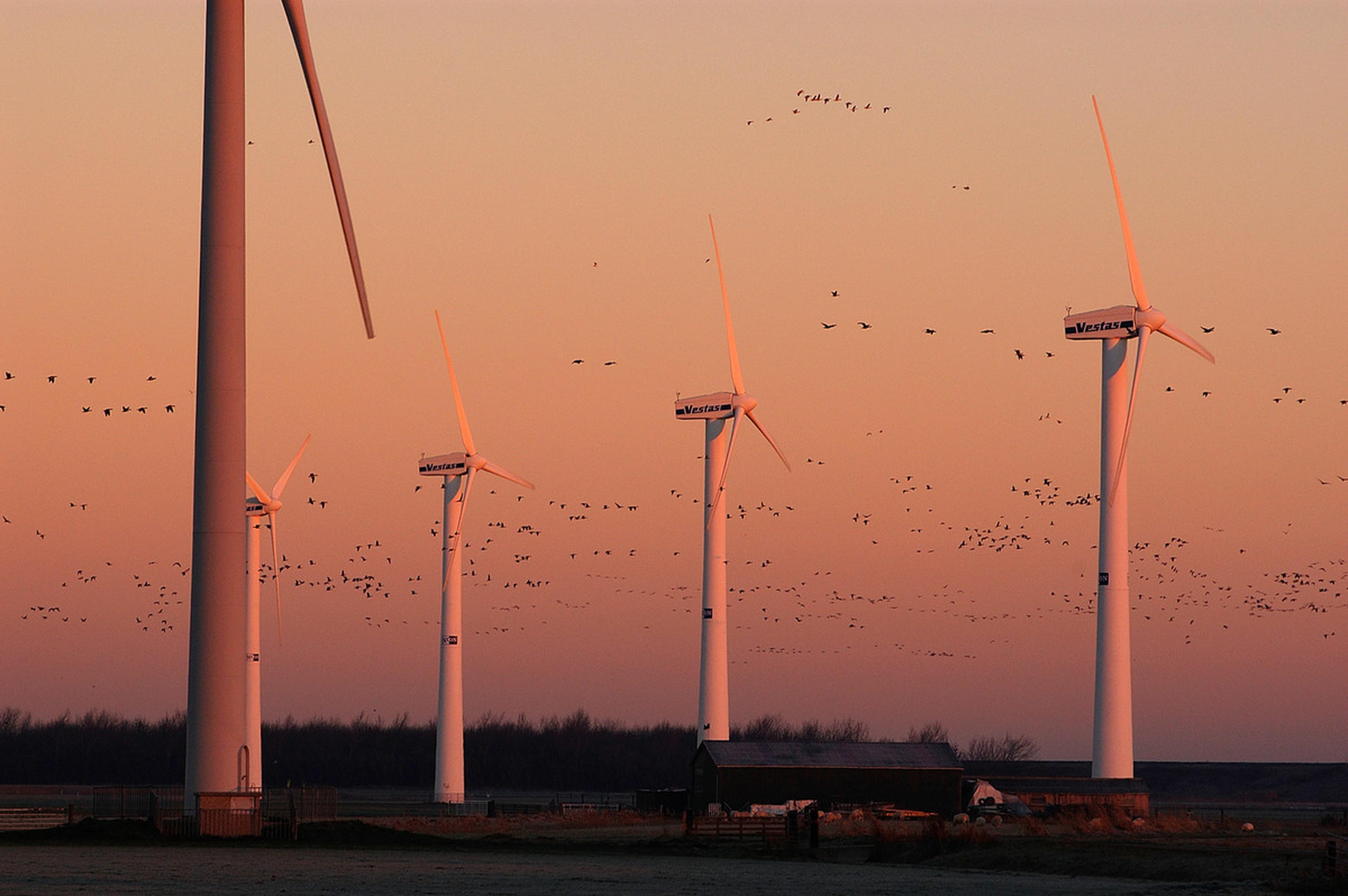 windmolen
