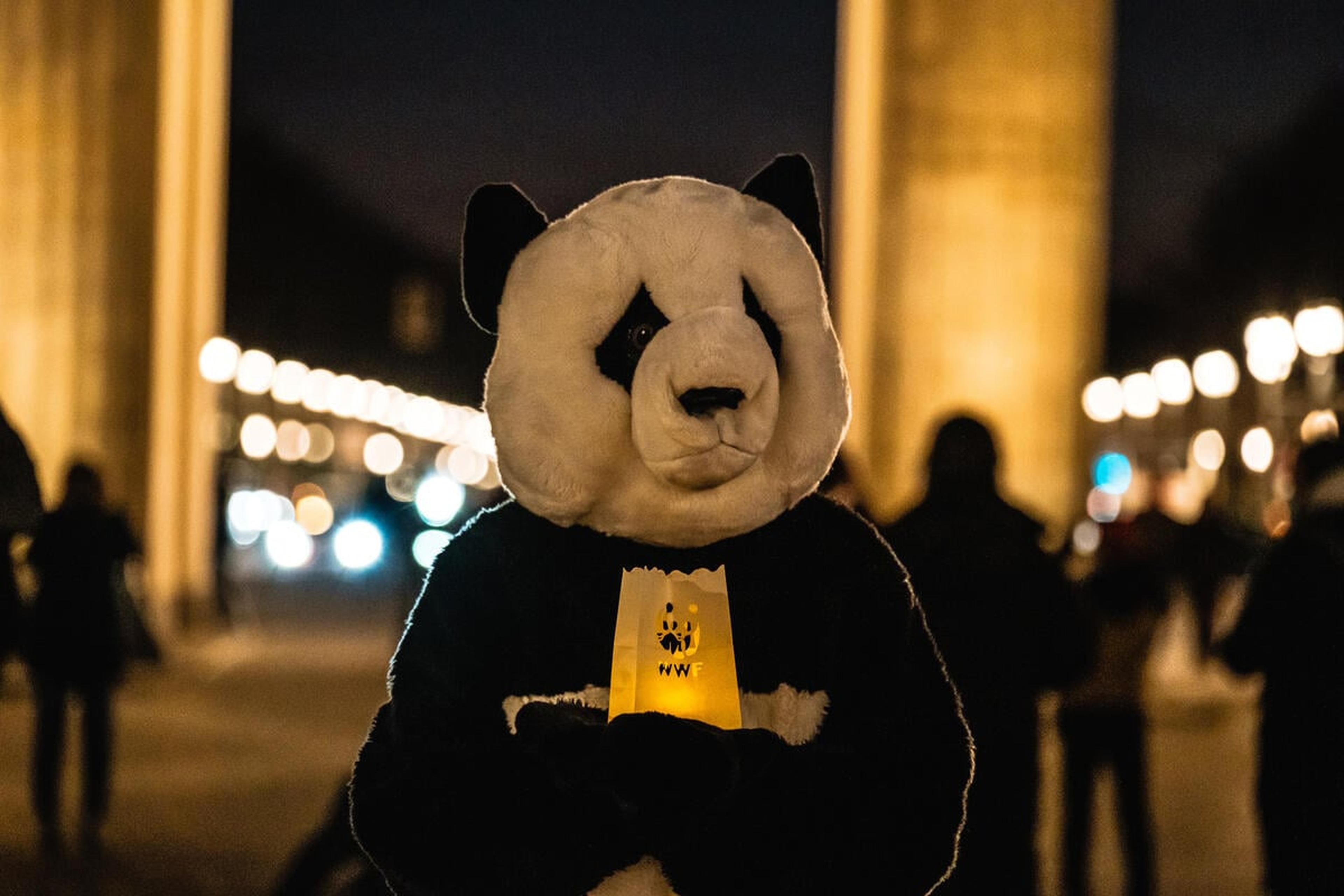 panda met lampion