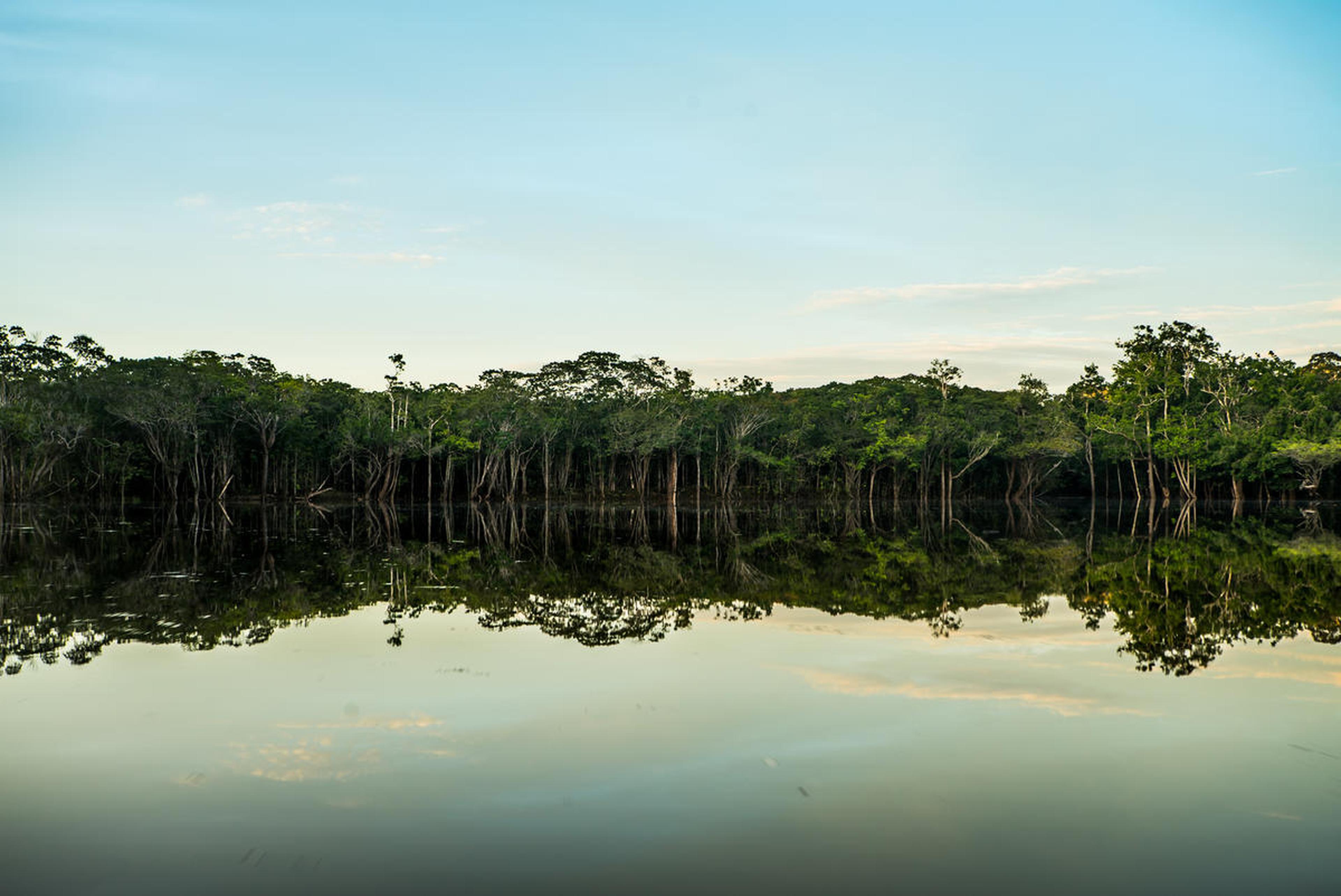 Orinoco rivier in Colombia, bomen weerspiegelen in het water