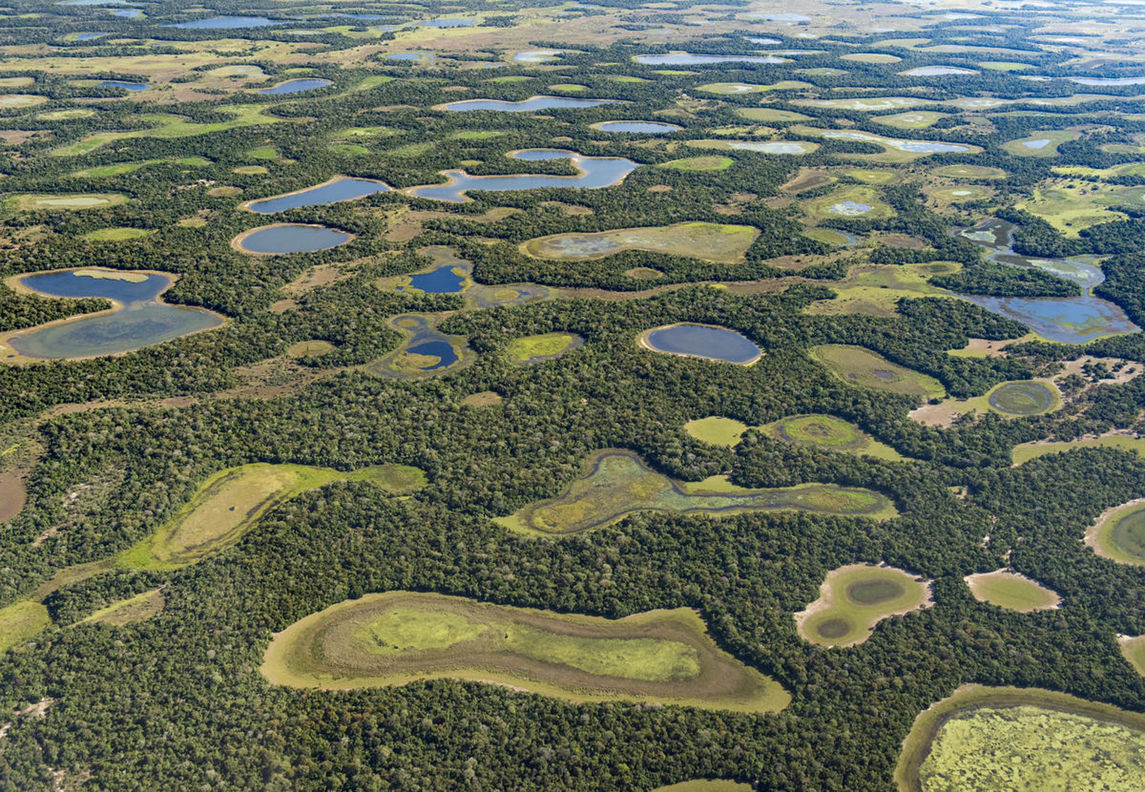 Ontbossing in het overgangsgebied tussen Cerrado en Pantanal