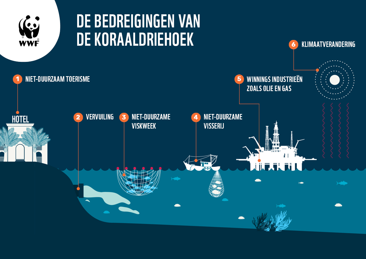 Bedreigingen Koraaldriehoek