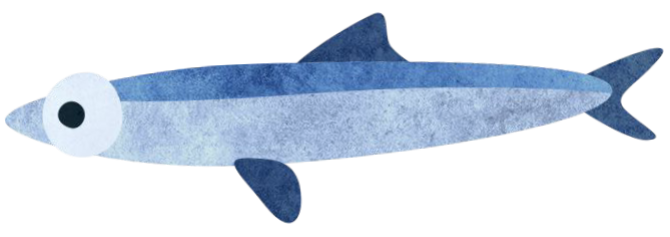 imagevxand.png