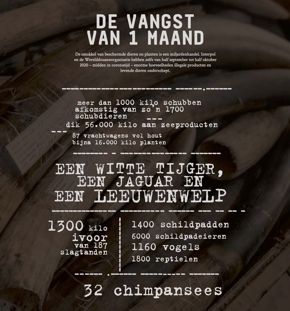 Vangst van 1 maand.jpg