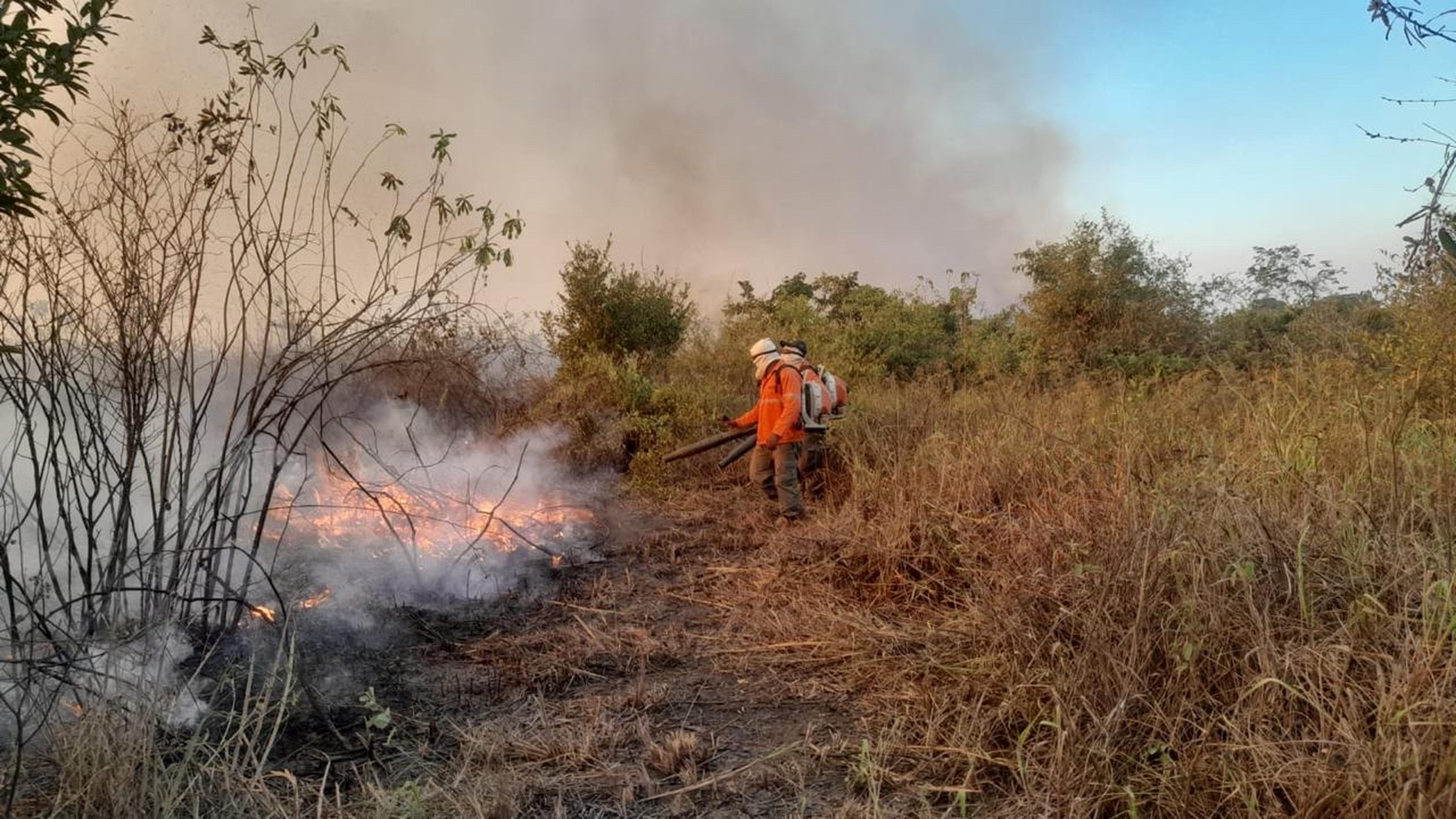Brandbestrijding Pantanal
