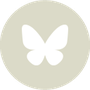 WWF_Social_Bluesky.png