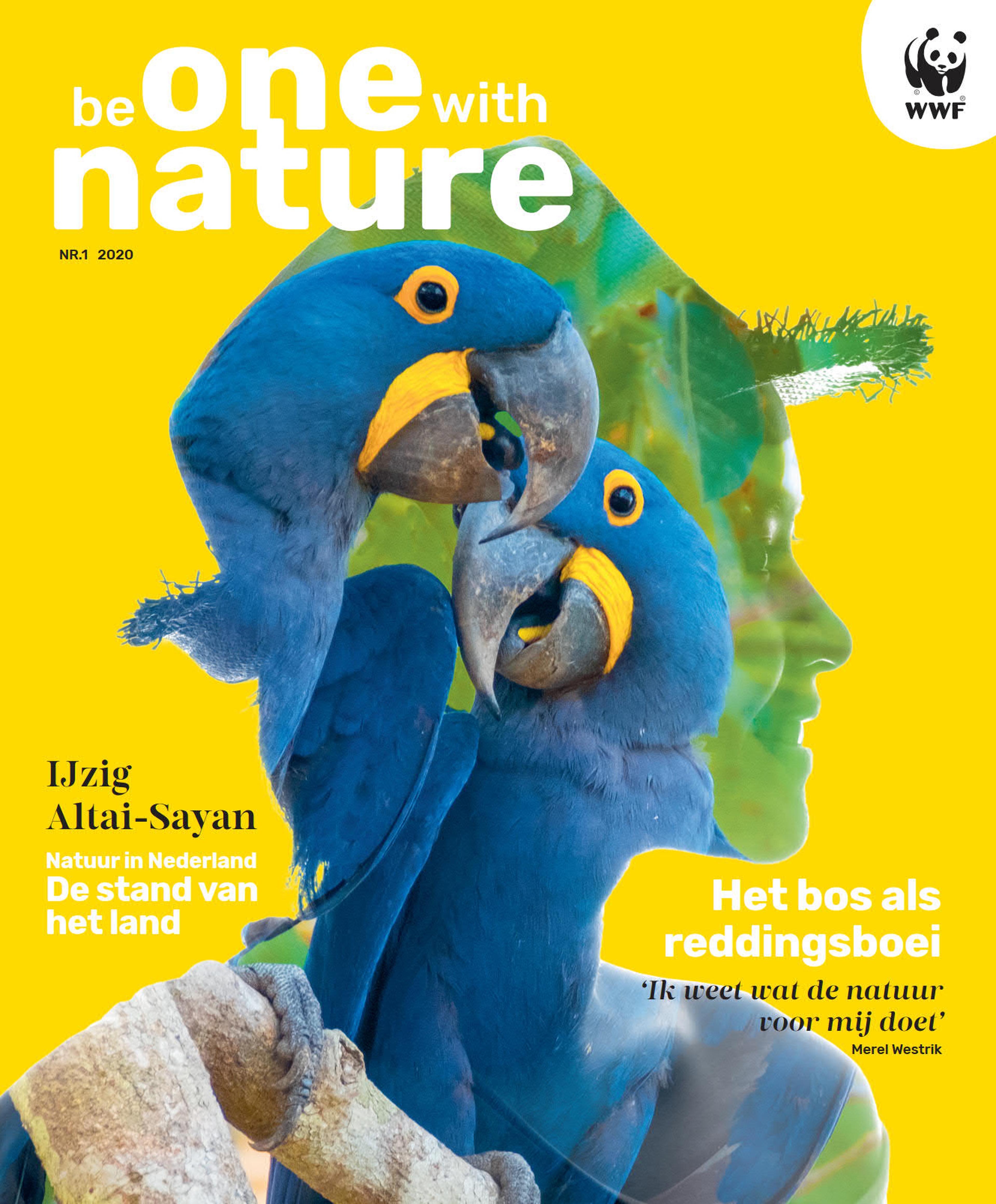Februari 2020