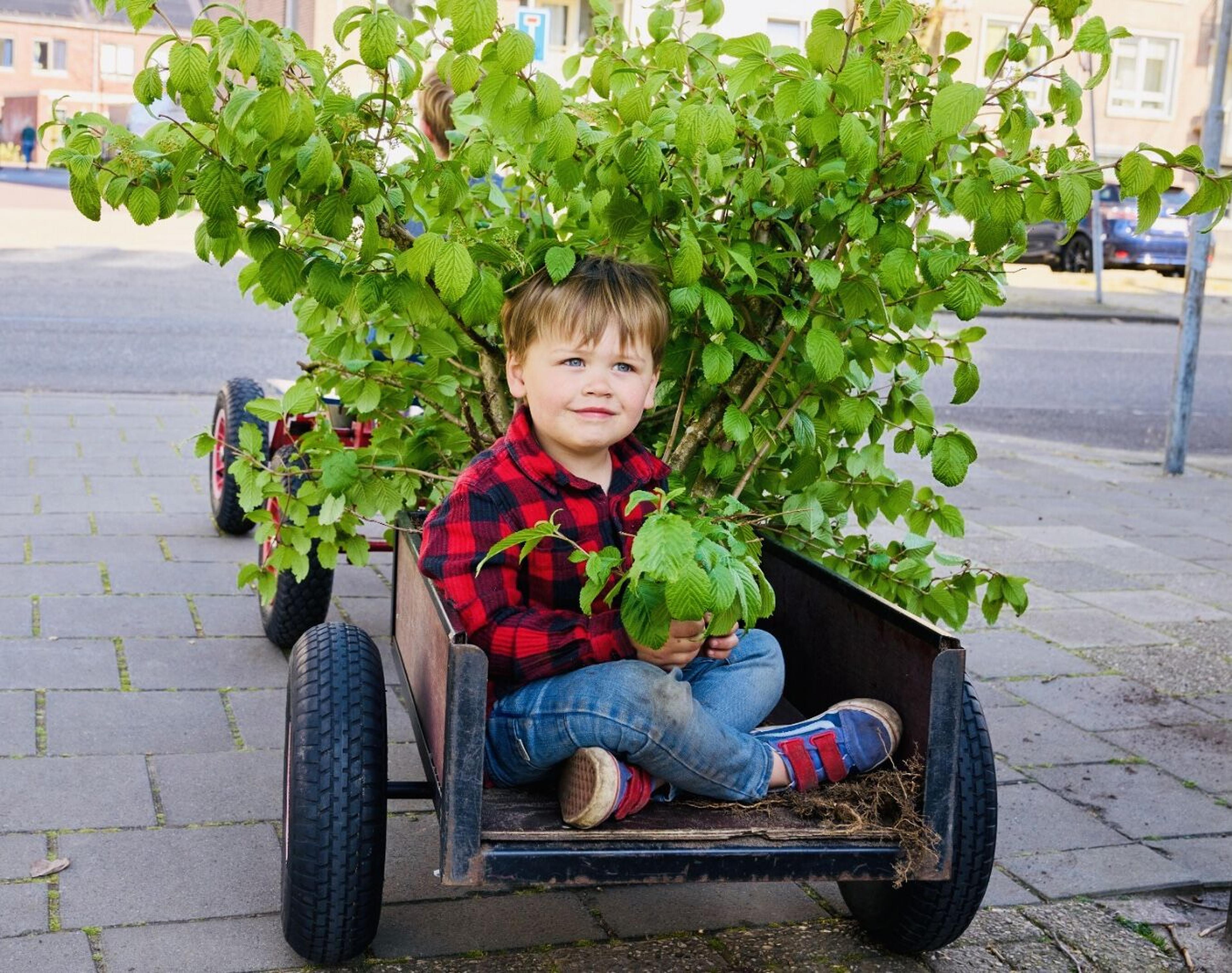 Kindje in een bolderkar met planten