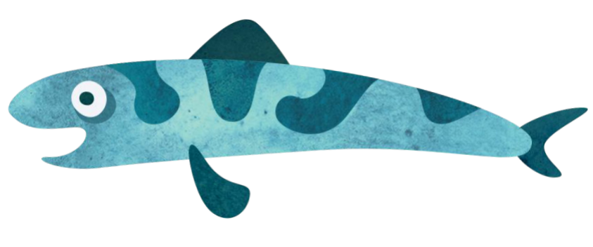image8bys.png