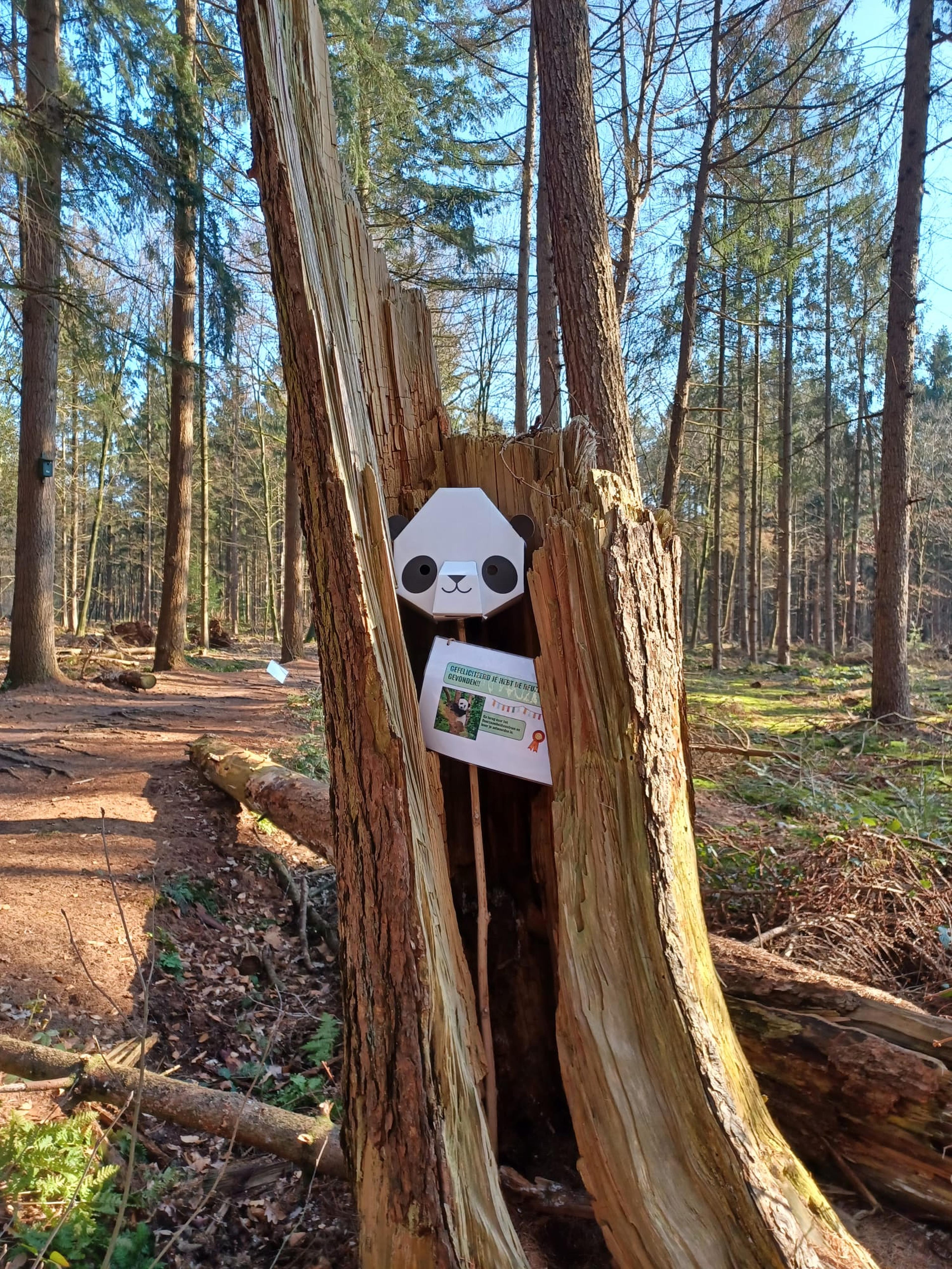 Jungle-speurtocht in Assen