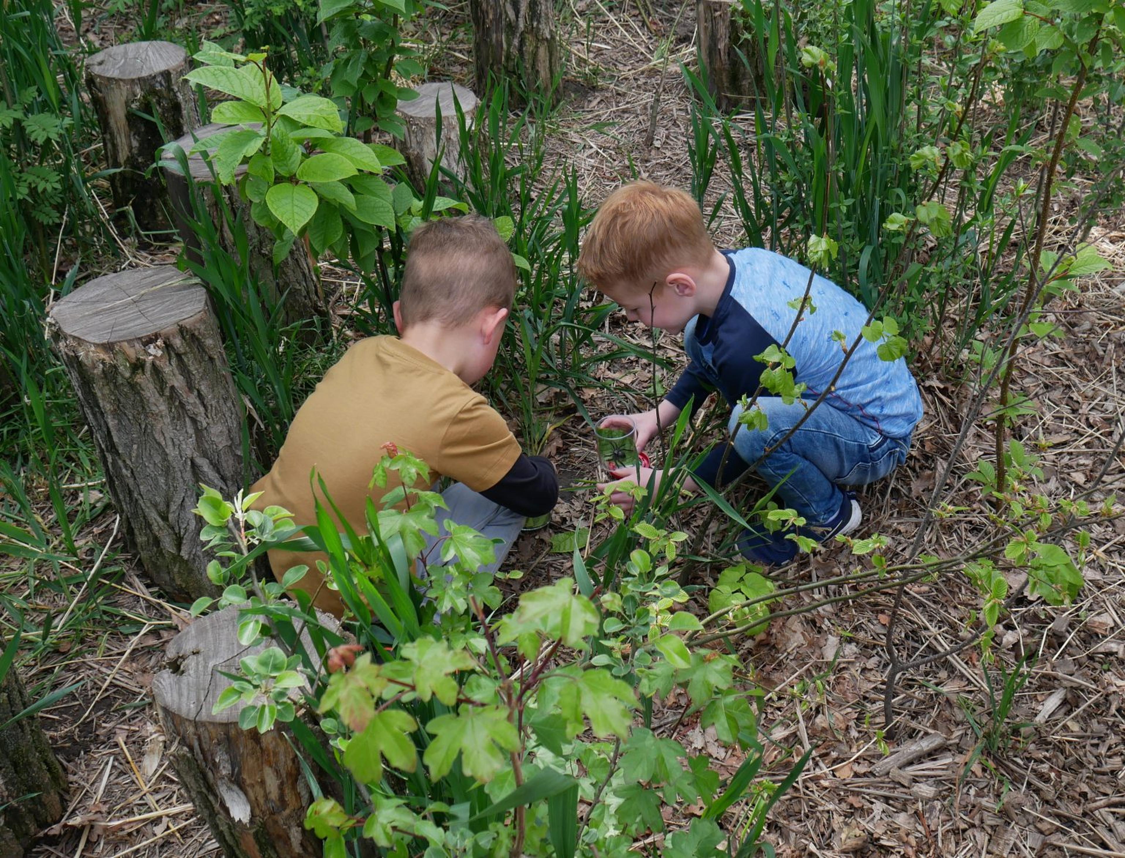 Kinderen op zoek naar bodemdiertjes