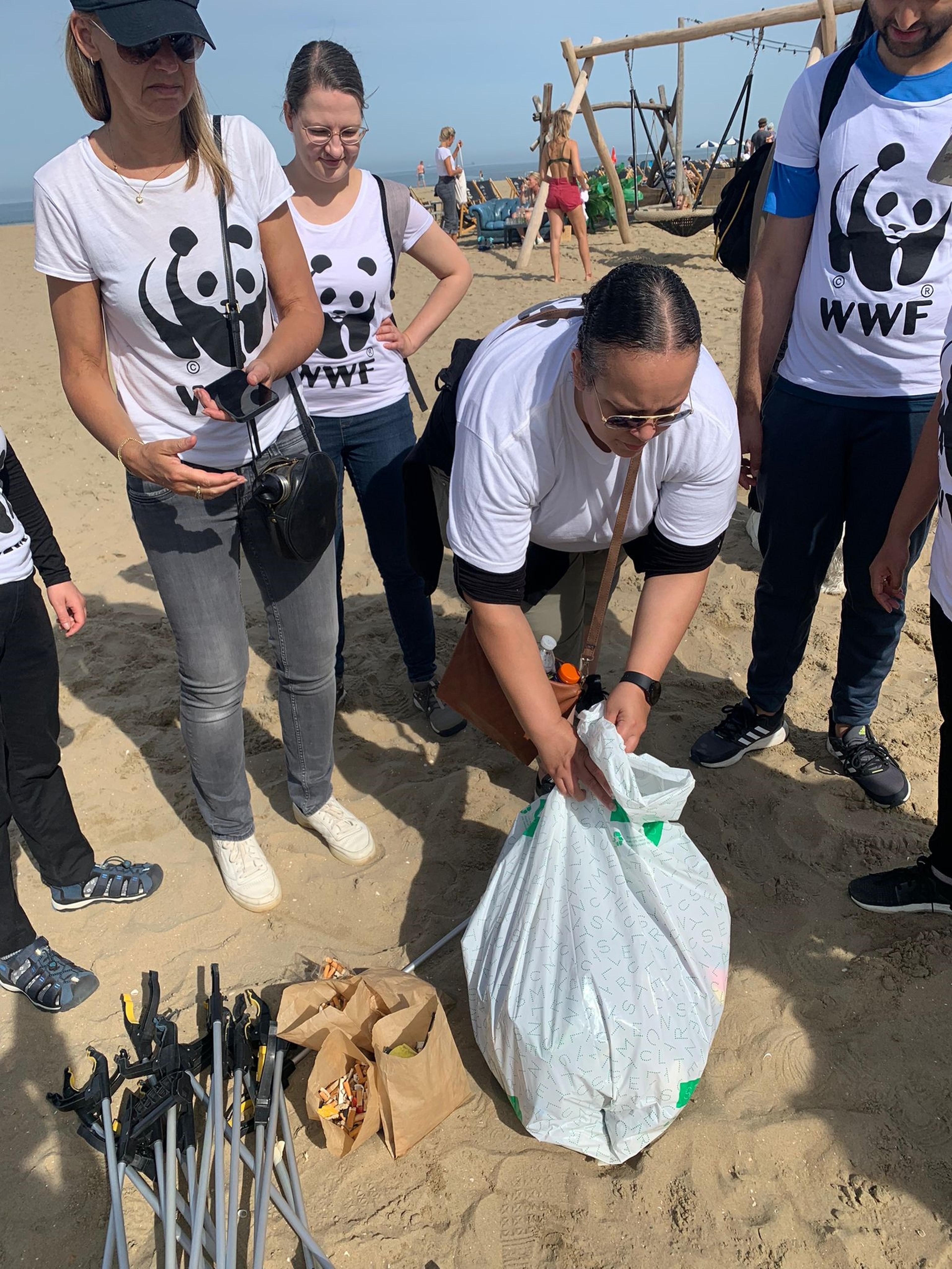 Beach clean-up volunteers