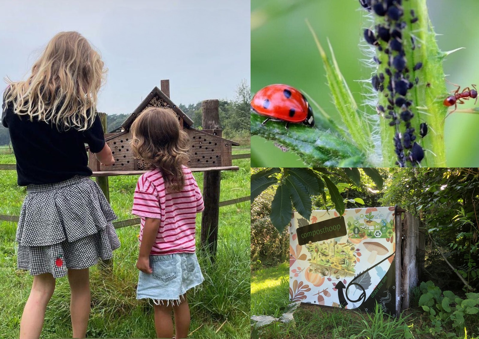 Foto kriebelbeestjes-safari.jpg