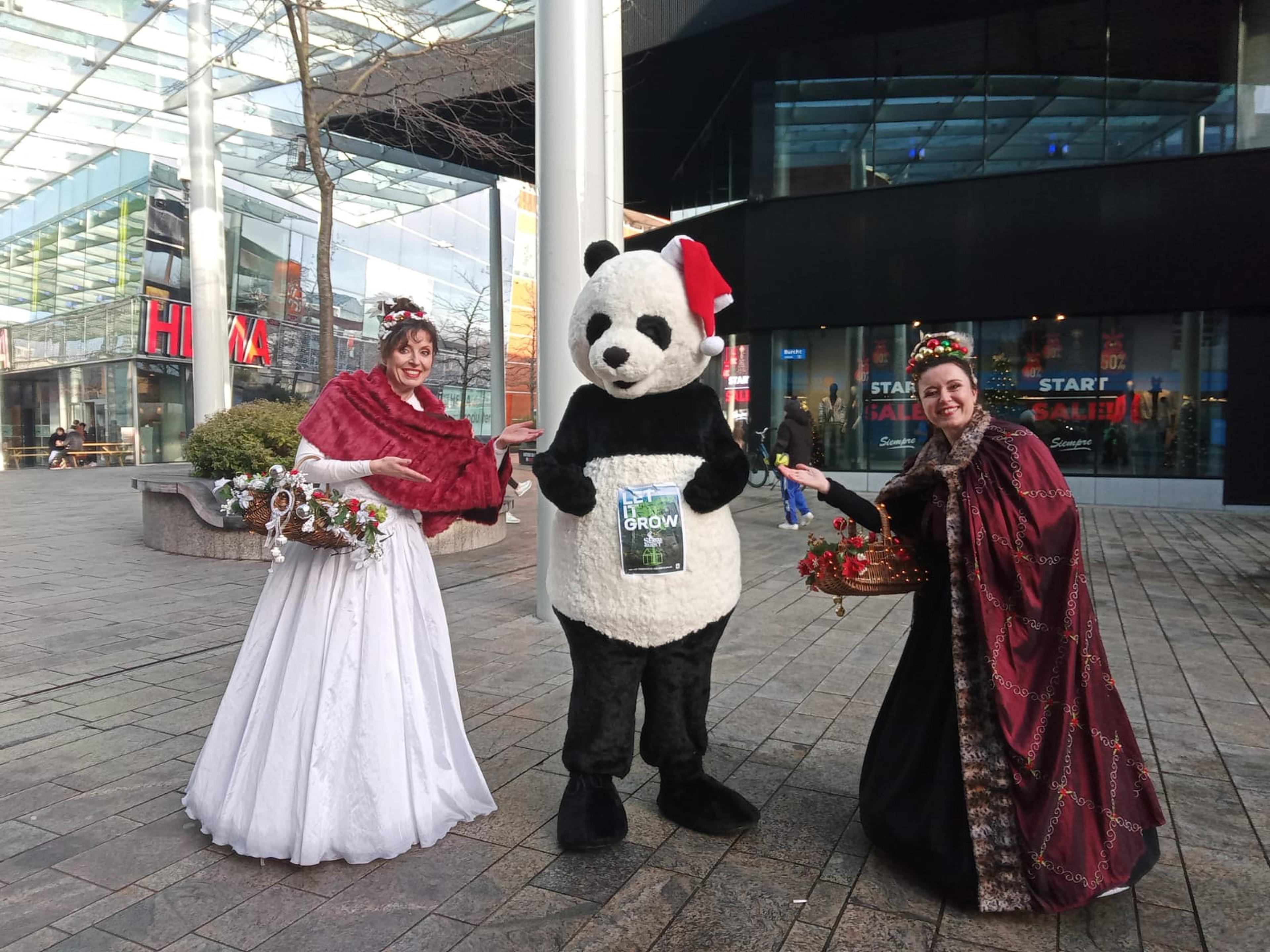 Panda met kerstmuts in Flevoland
