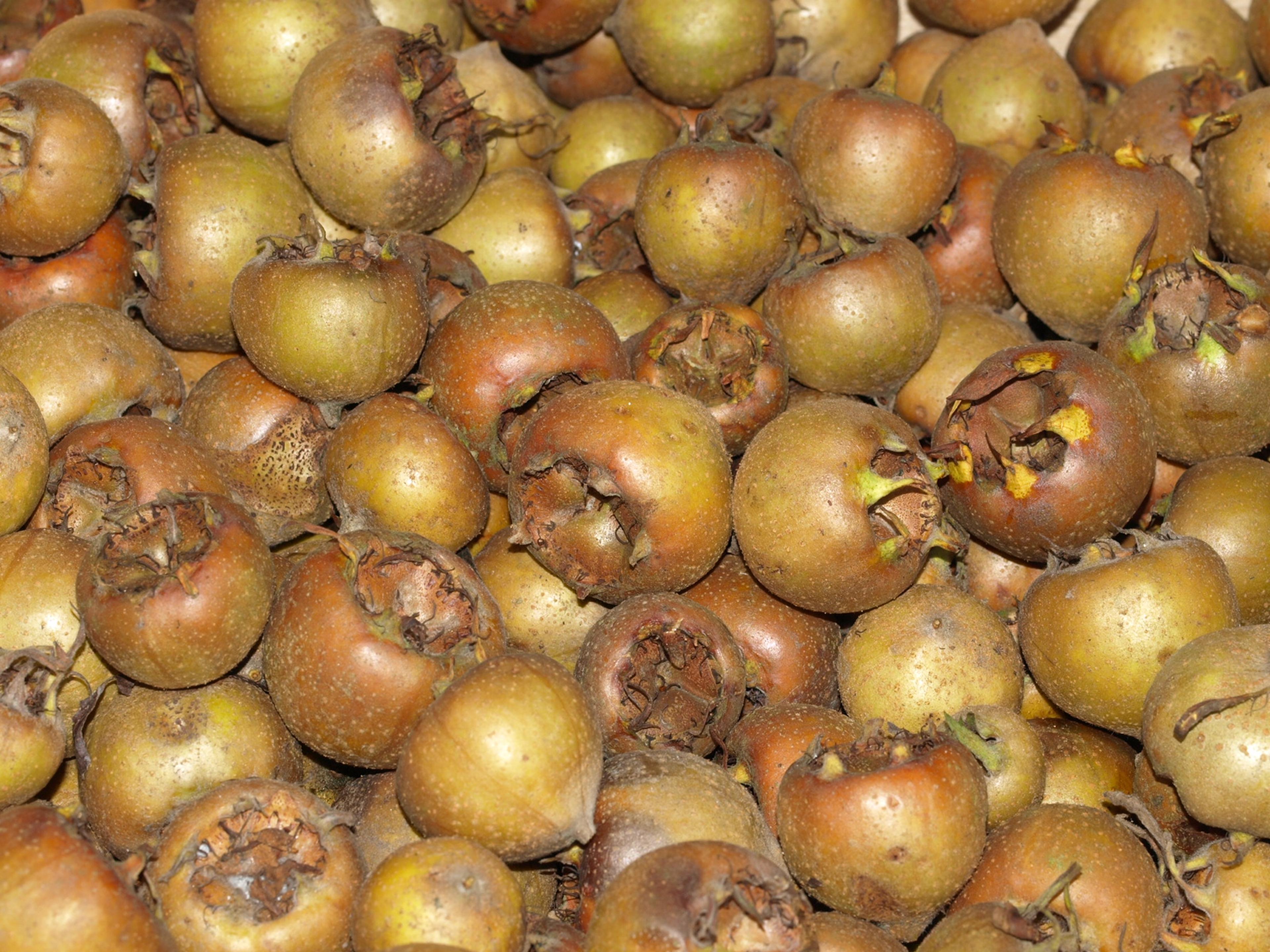 Mispels