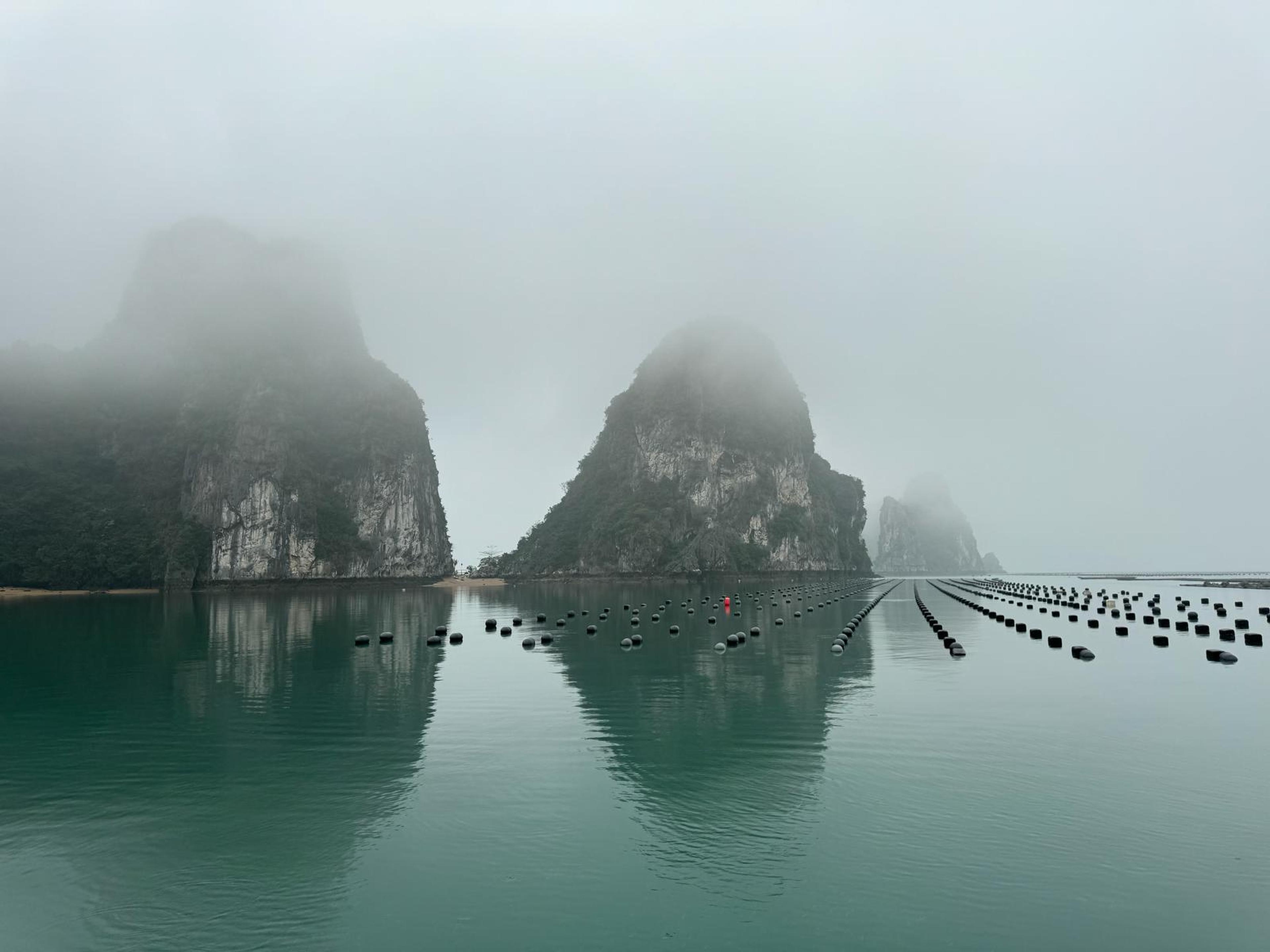 STP floating seaweed and mollusc farm, Bai Tu Long Bay, Quang Ninh province, Vietnam. WWF-NL.
