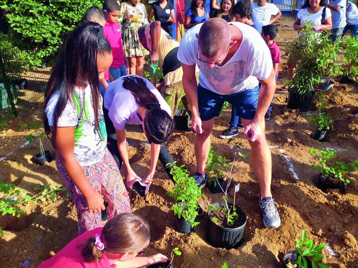 Leerlingen planten het tiny forest