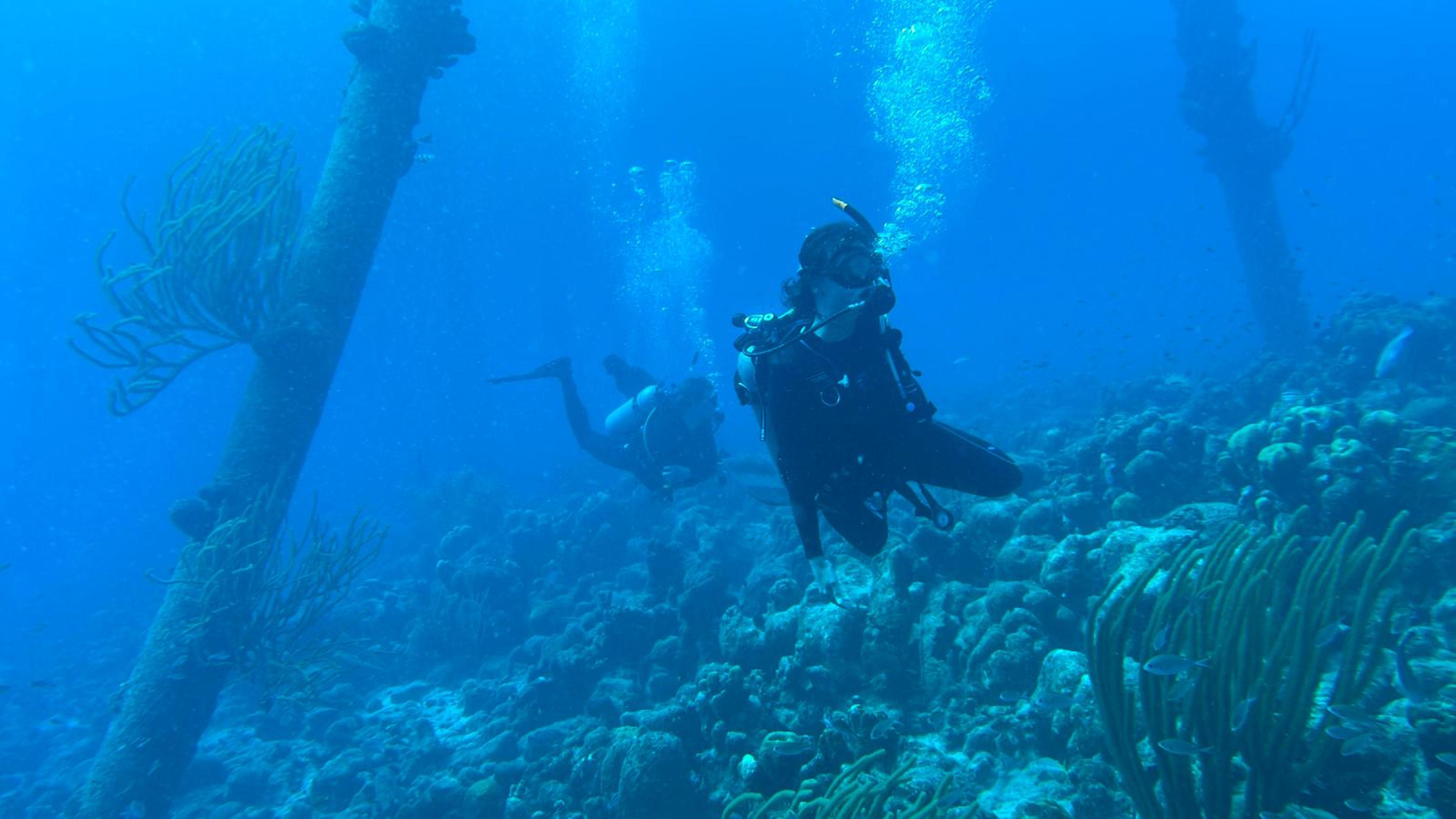 Nathalie aan het duiken in Bonaire