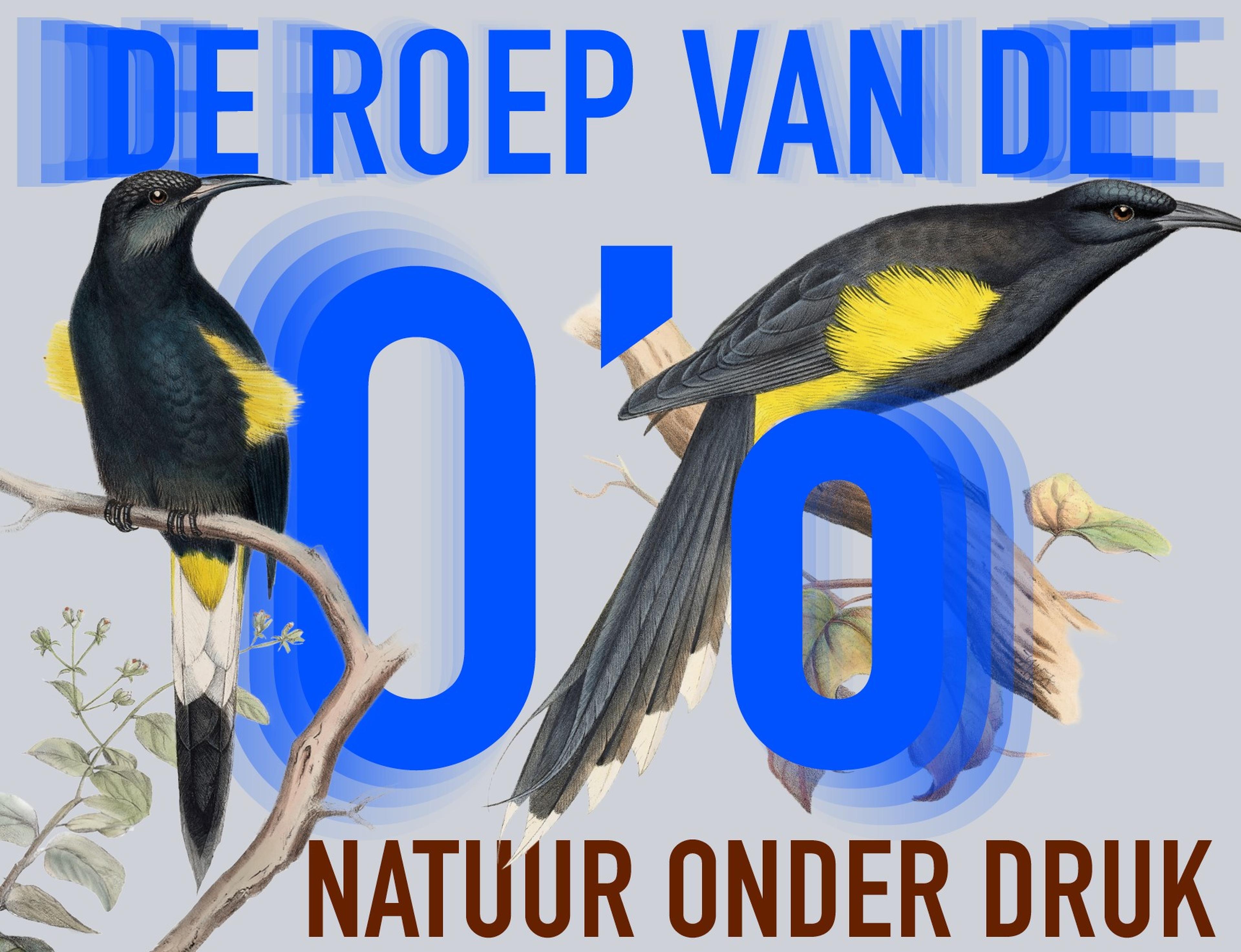 Tentoonstelling 'De roep van de 0,0. Natuur onder druk.' in het Allard Pierson museum.