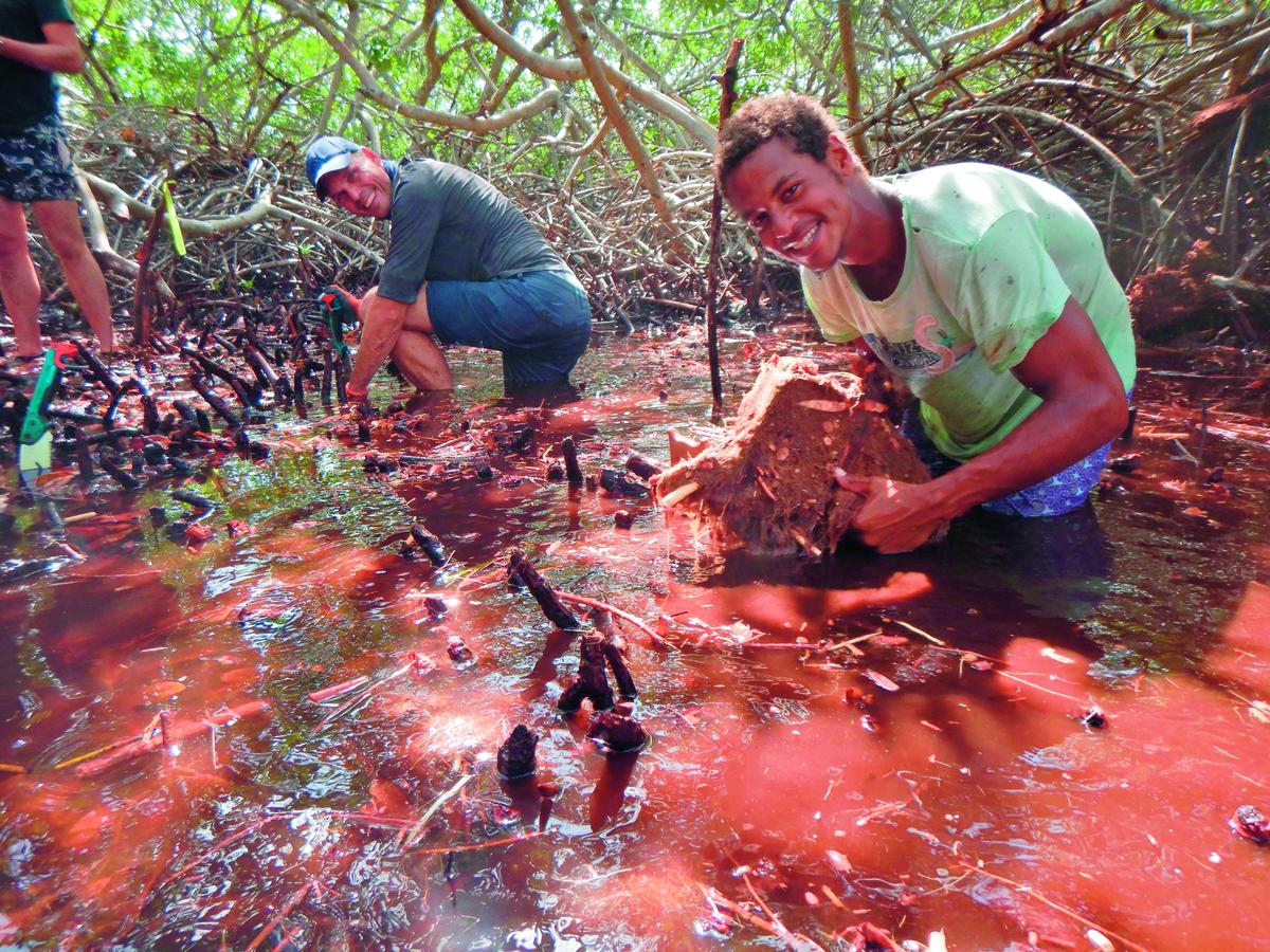 Mangrove Maniacs Bonaire