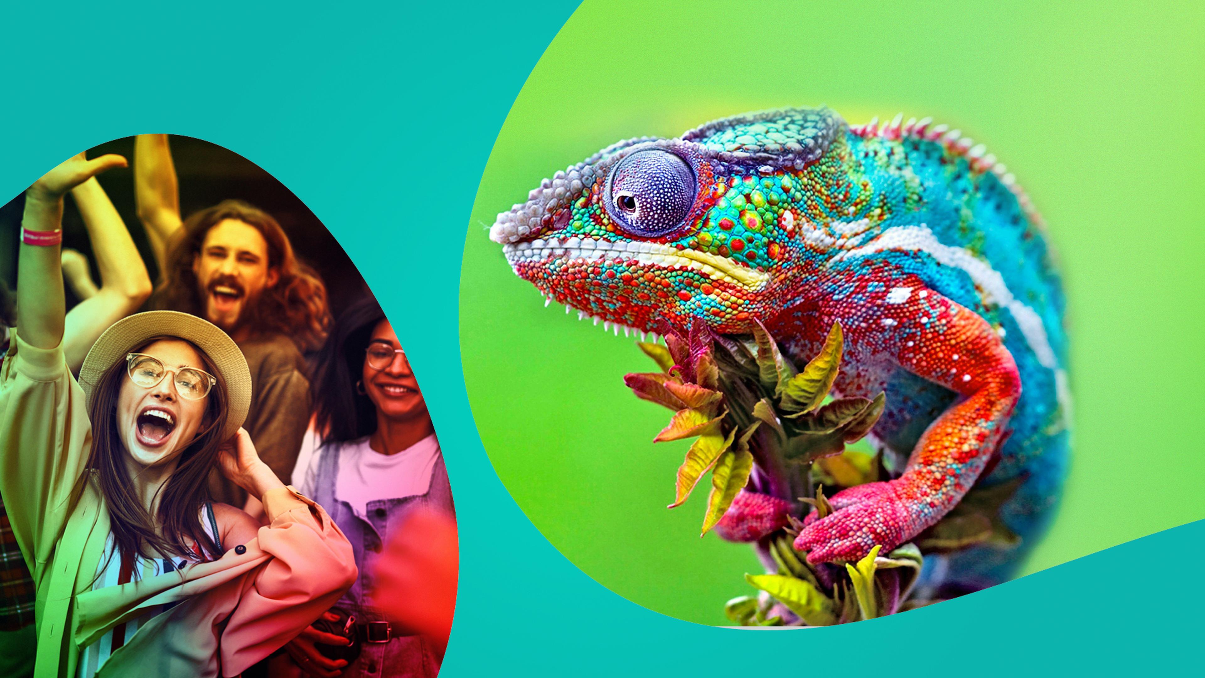 Verschillende mensen en een kameleon