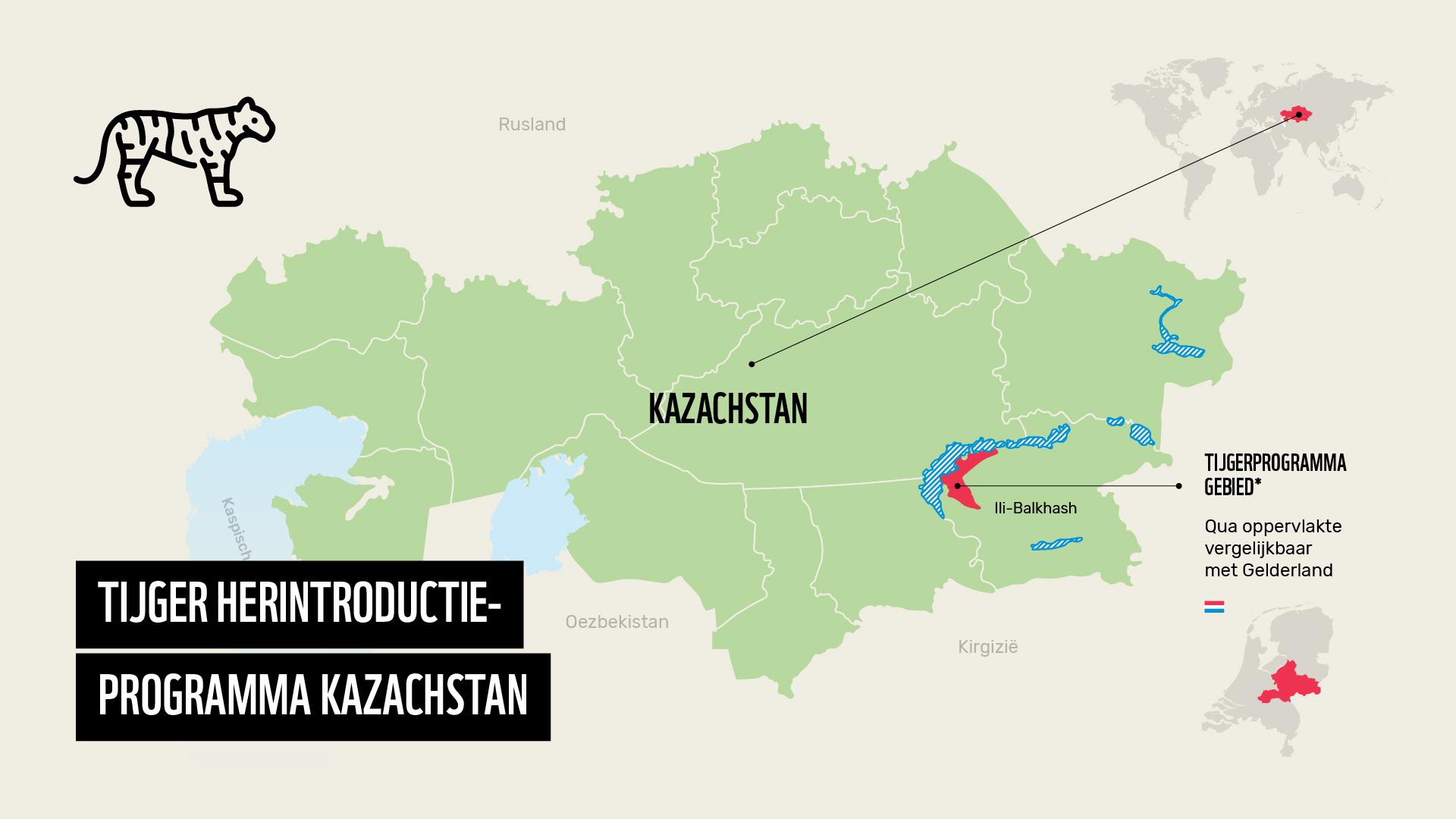 Tijger Herintroductieprogramma Kazachstan (1).jpg