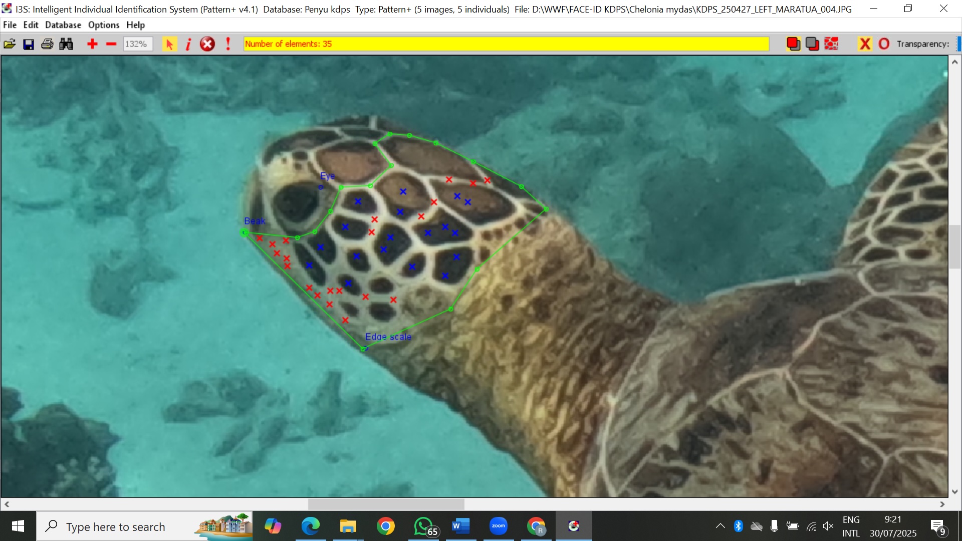 I3S-Turtle.jpg