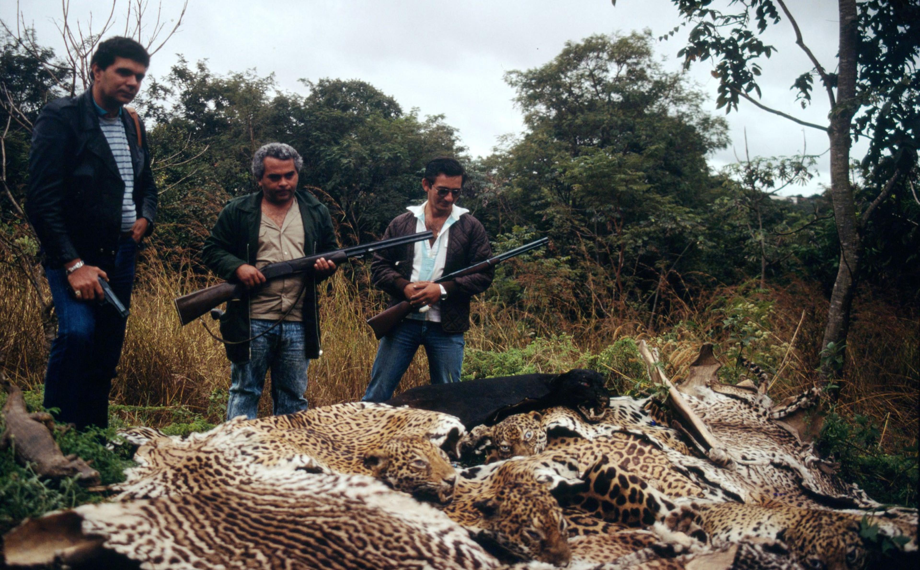 Drie jagers met jaguar vellen