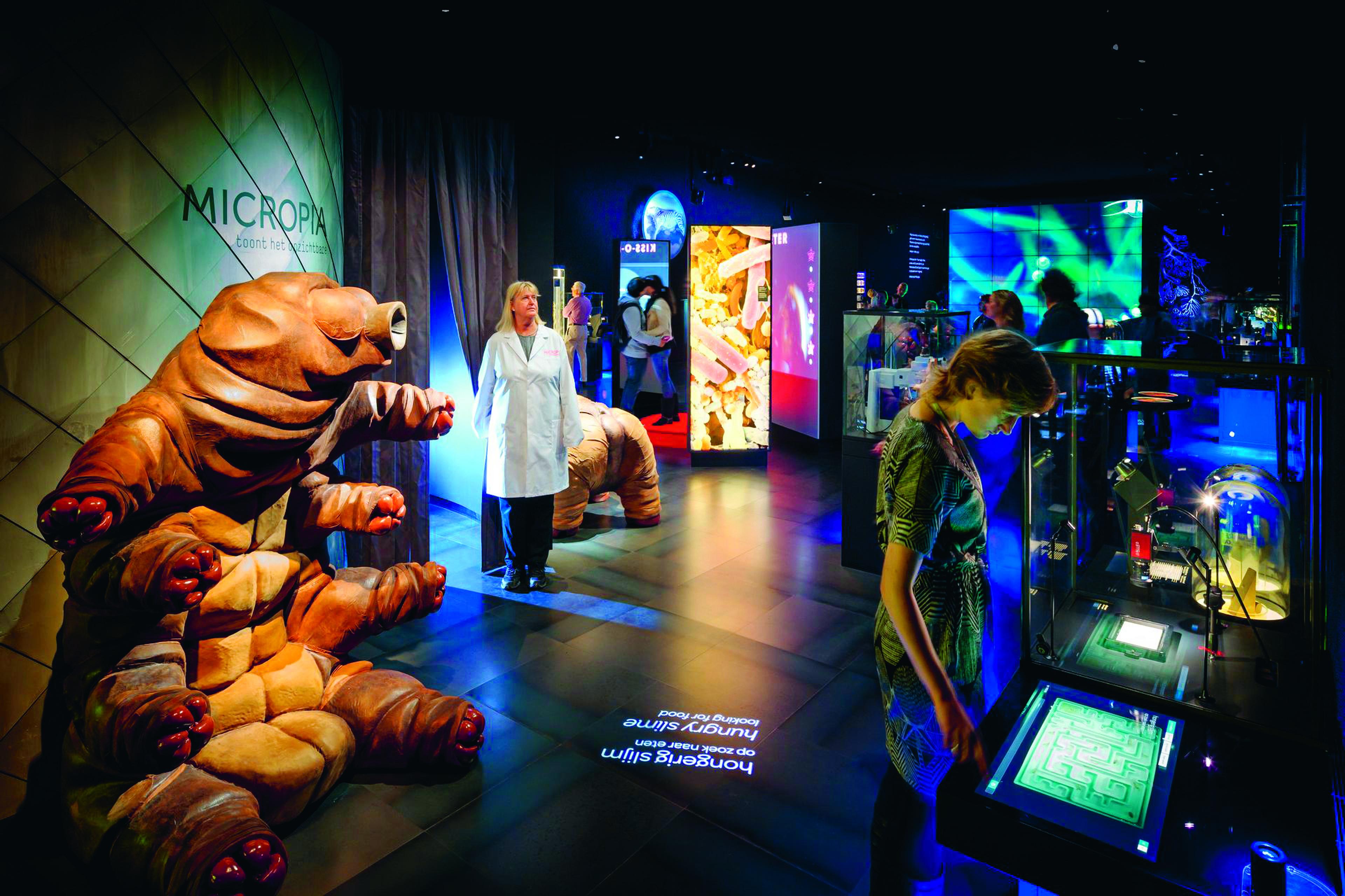 Het museum Micropia in ARTIS