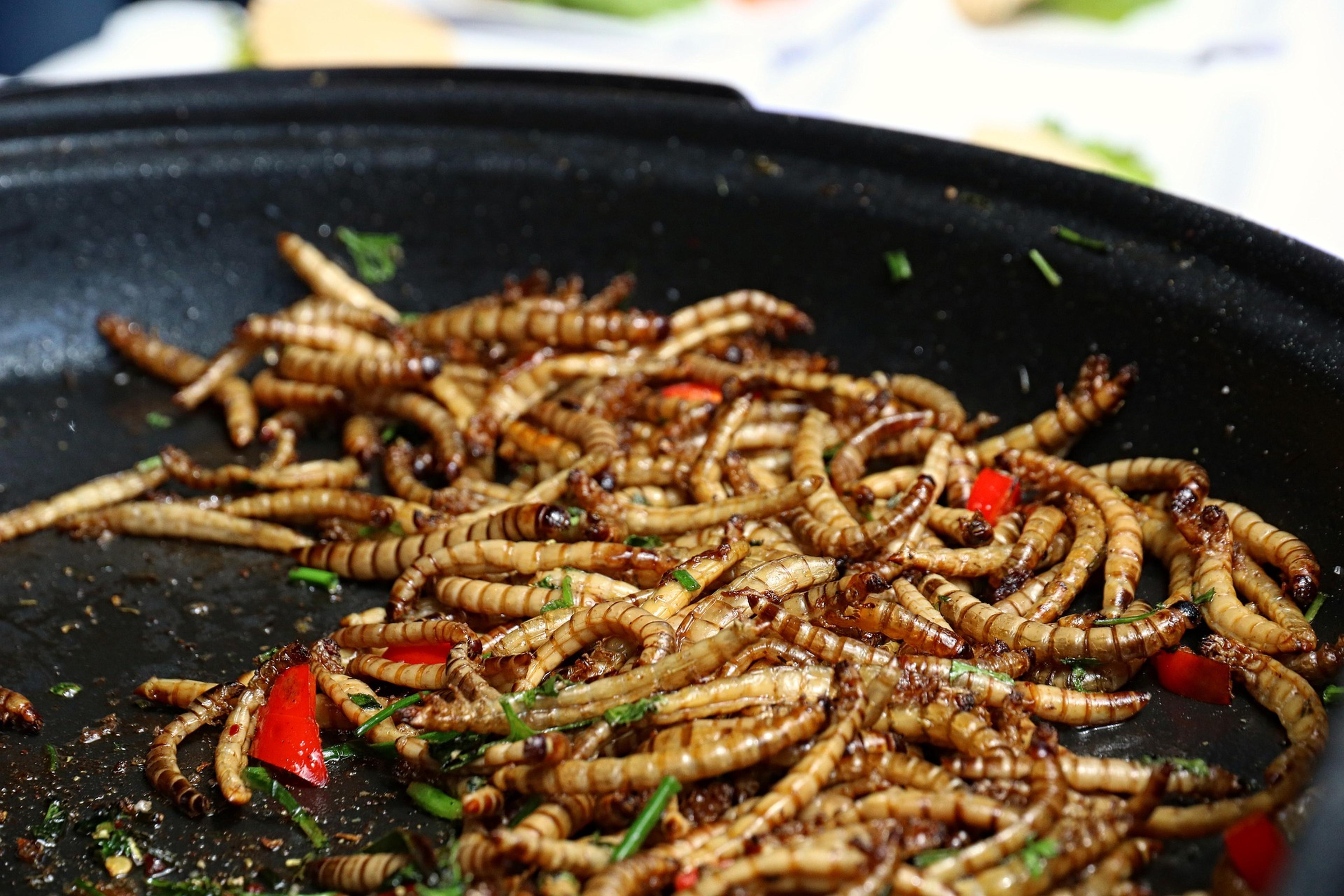 Insecten als voedsel