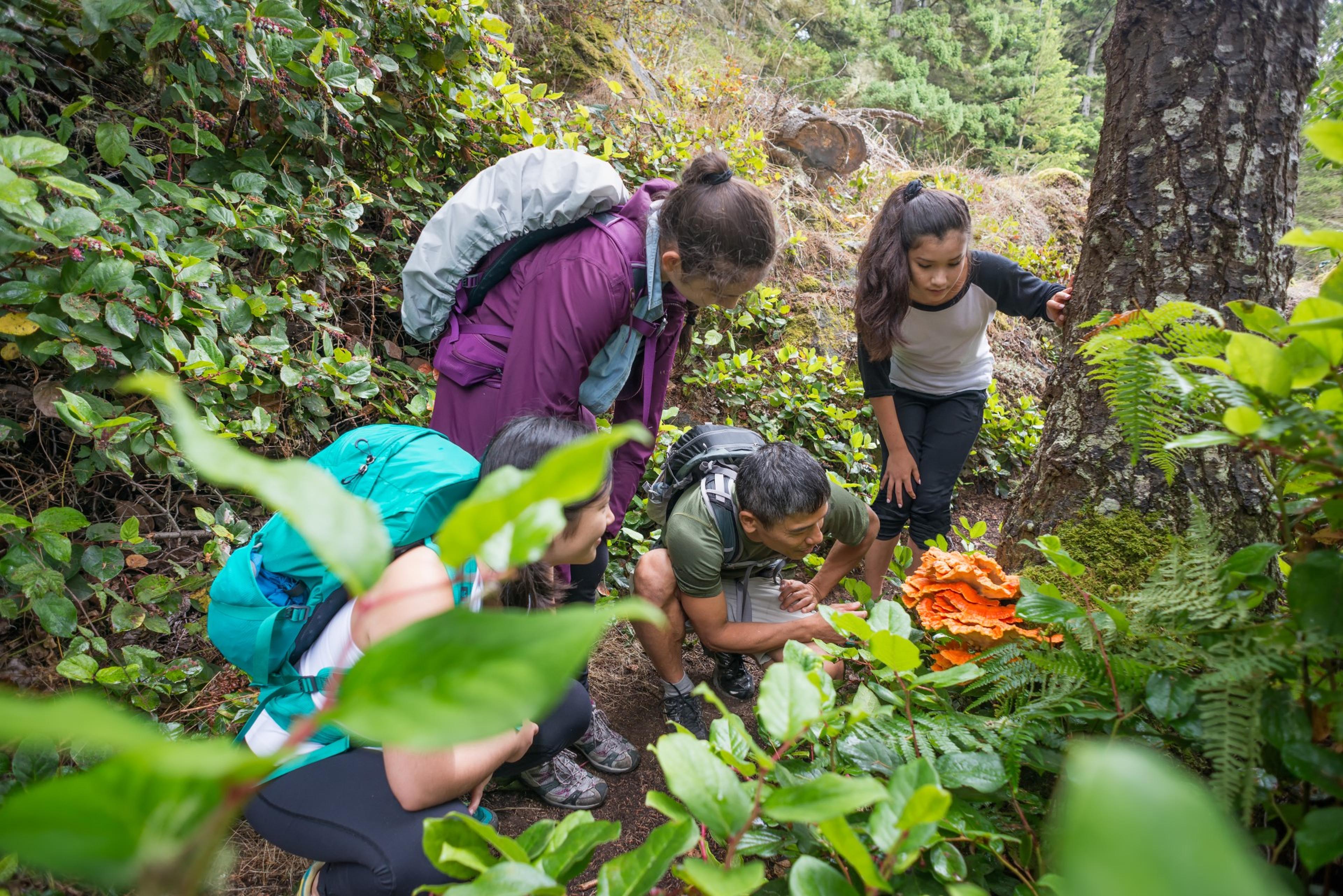 Familie Expeditie, gezin in bos