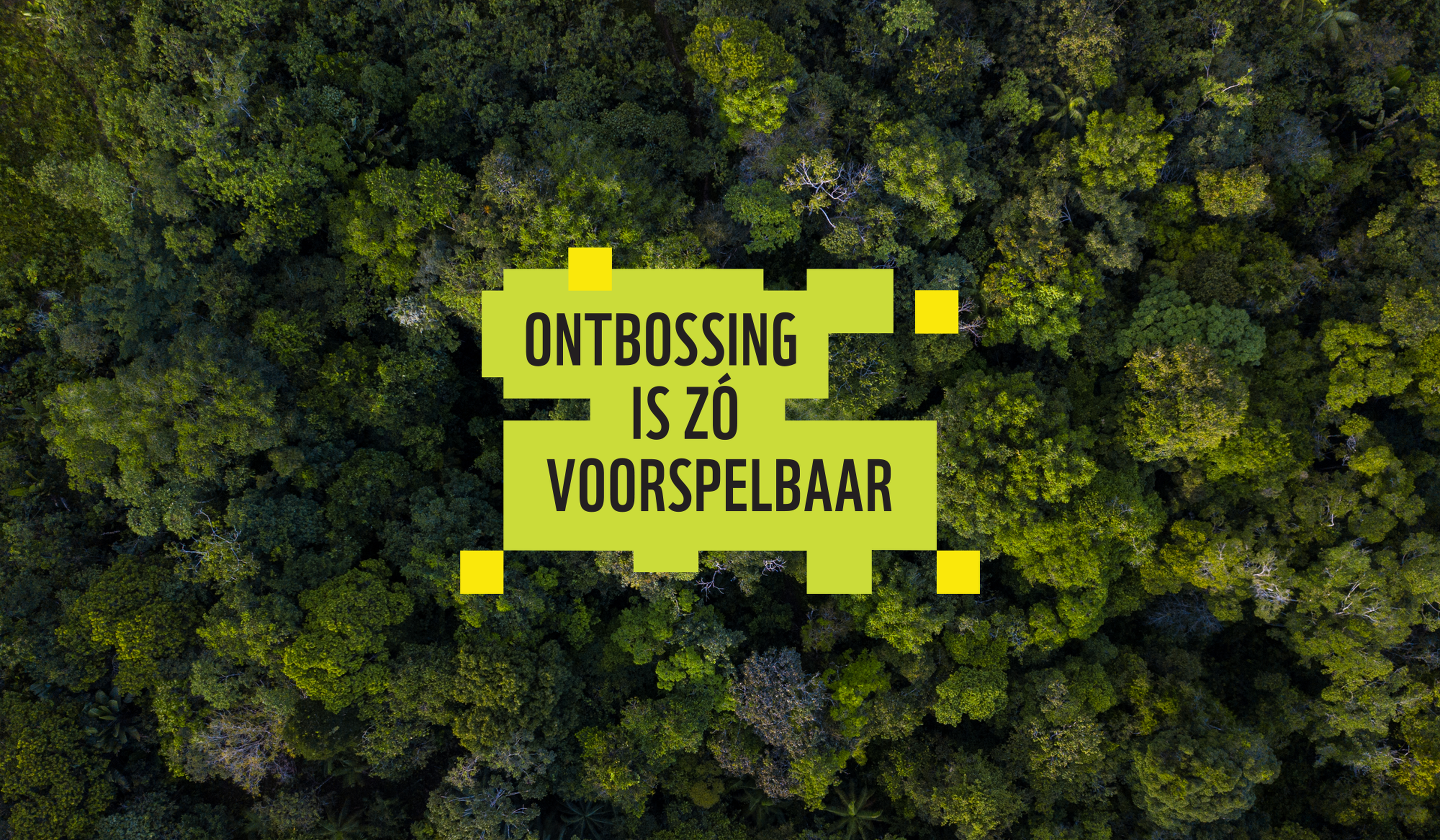 Crowdfunding: Forest Foresight