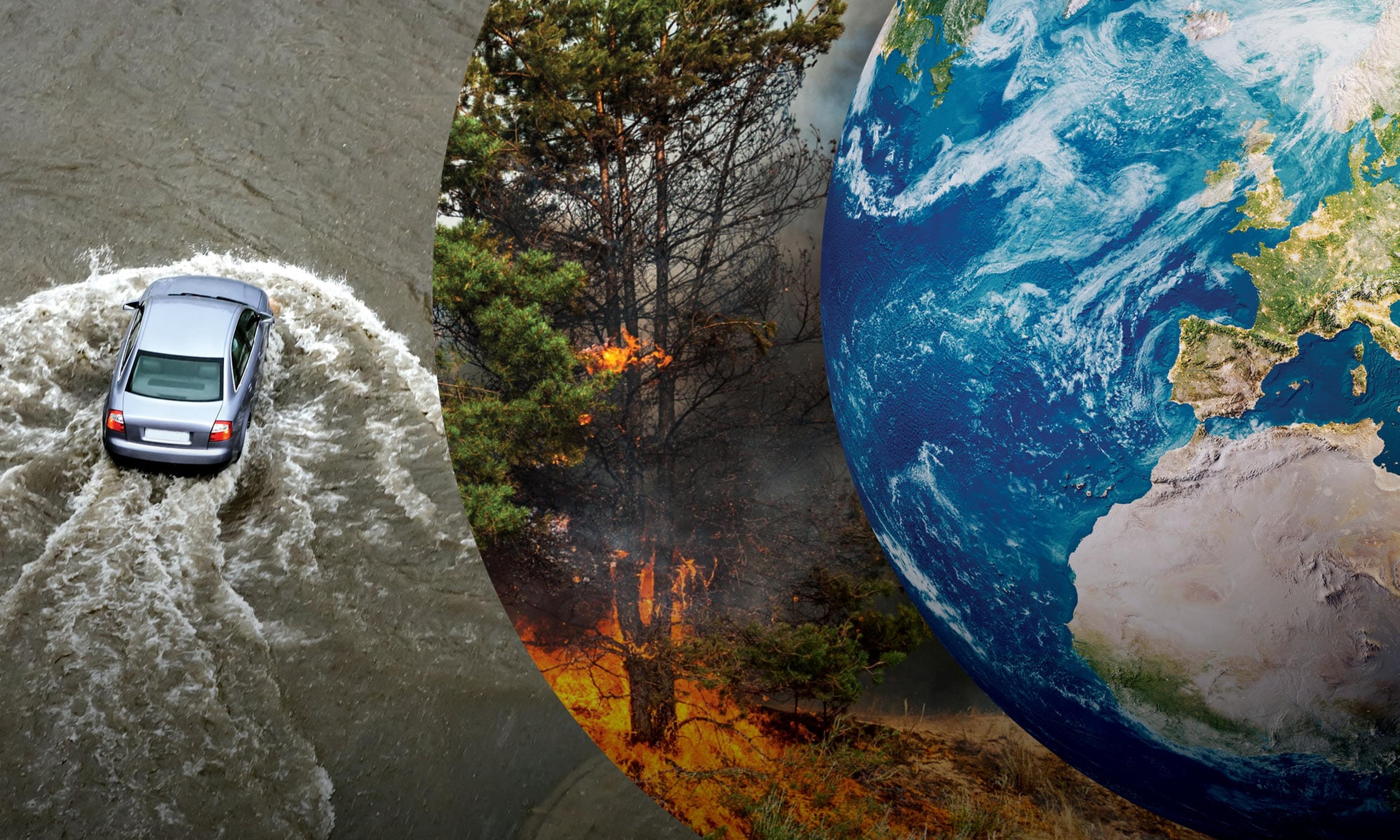 Header Living Planet Report 2024