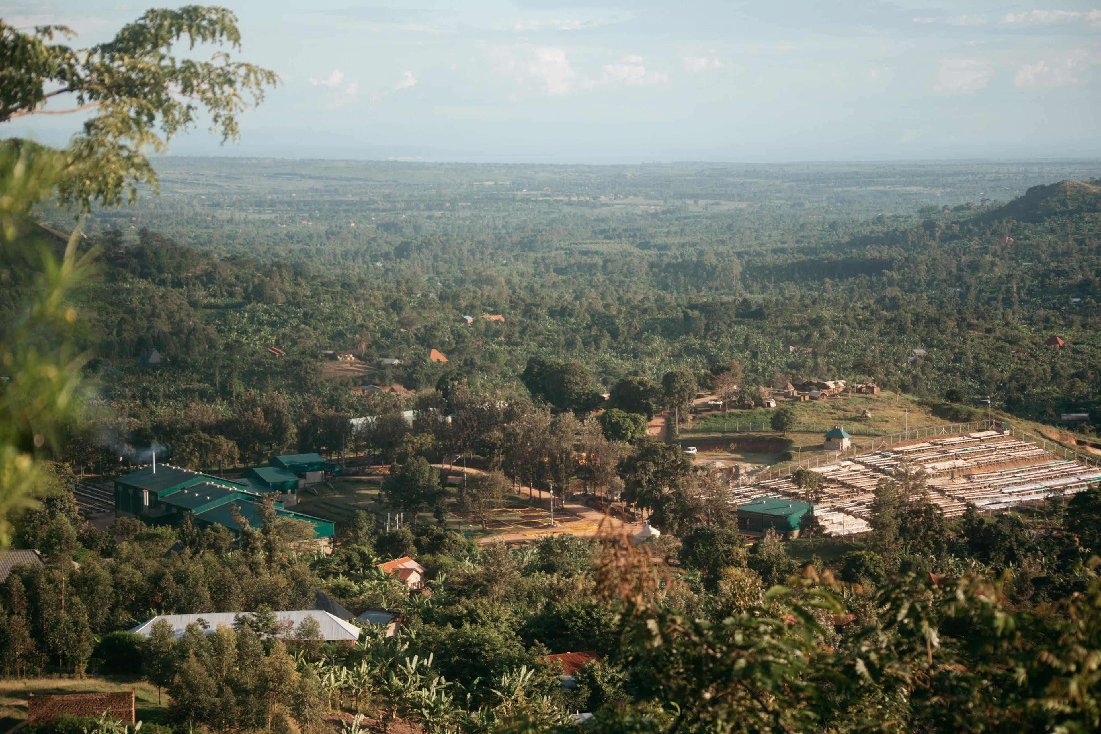 Nyabirongo Coffee Station and Agri Evolve HQ