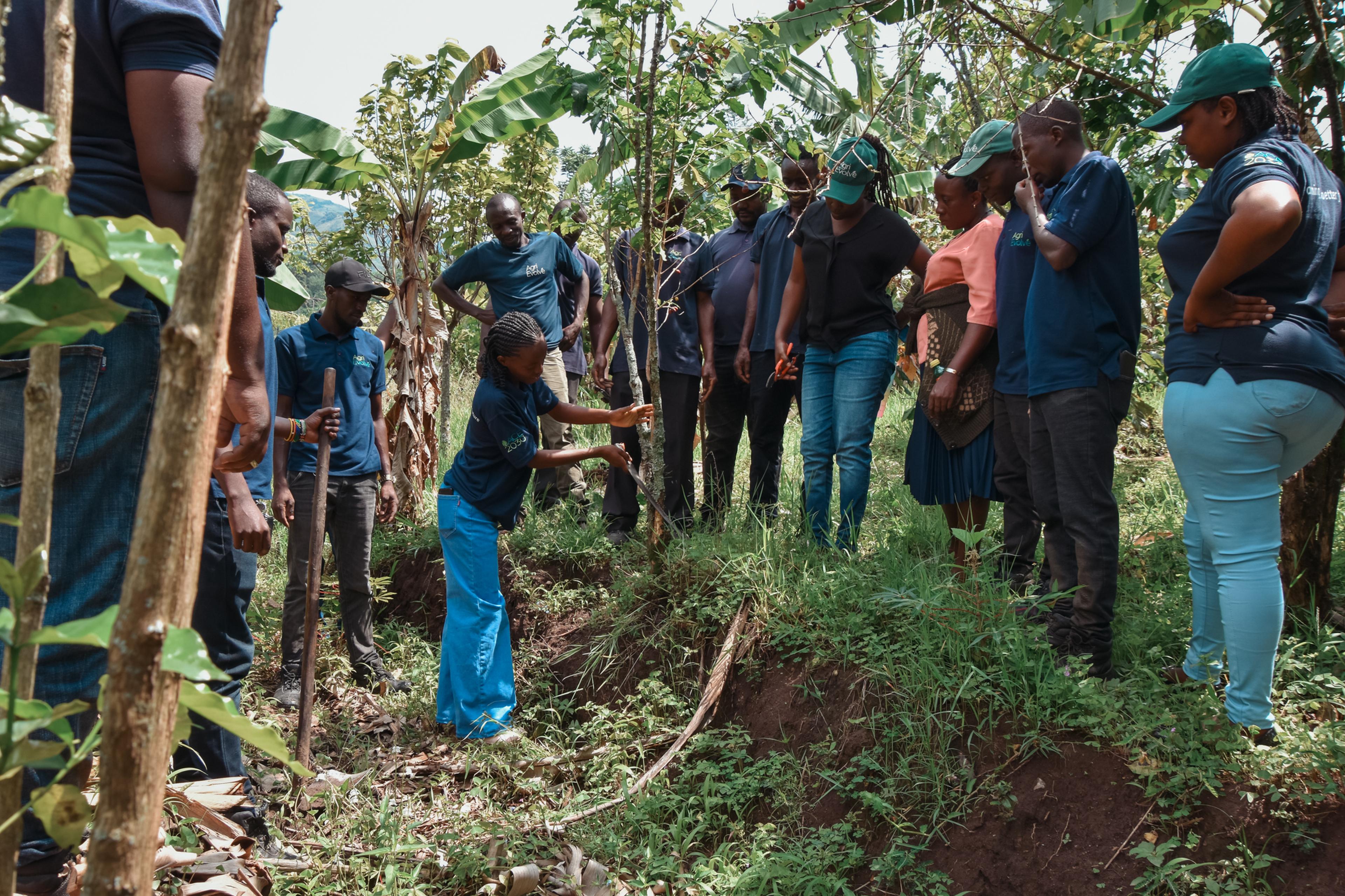 Planting for Agri Evolve