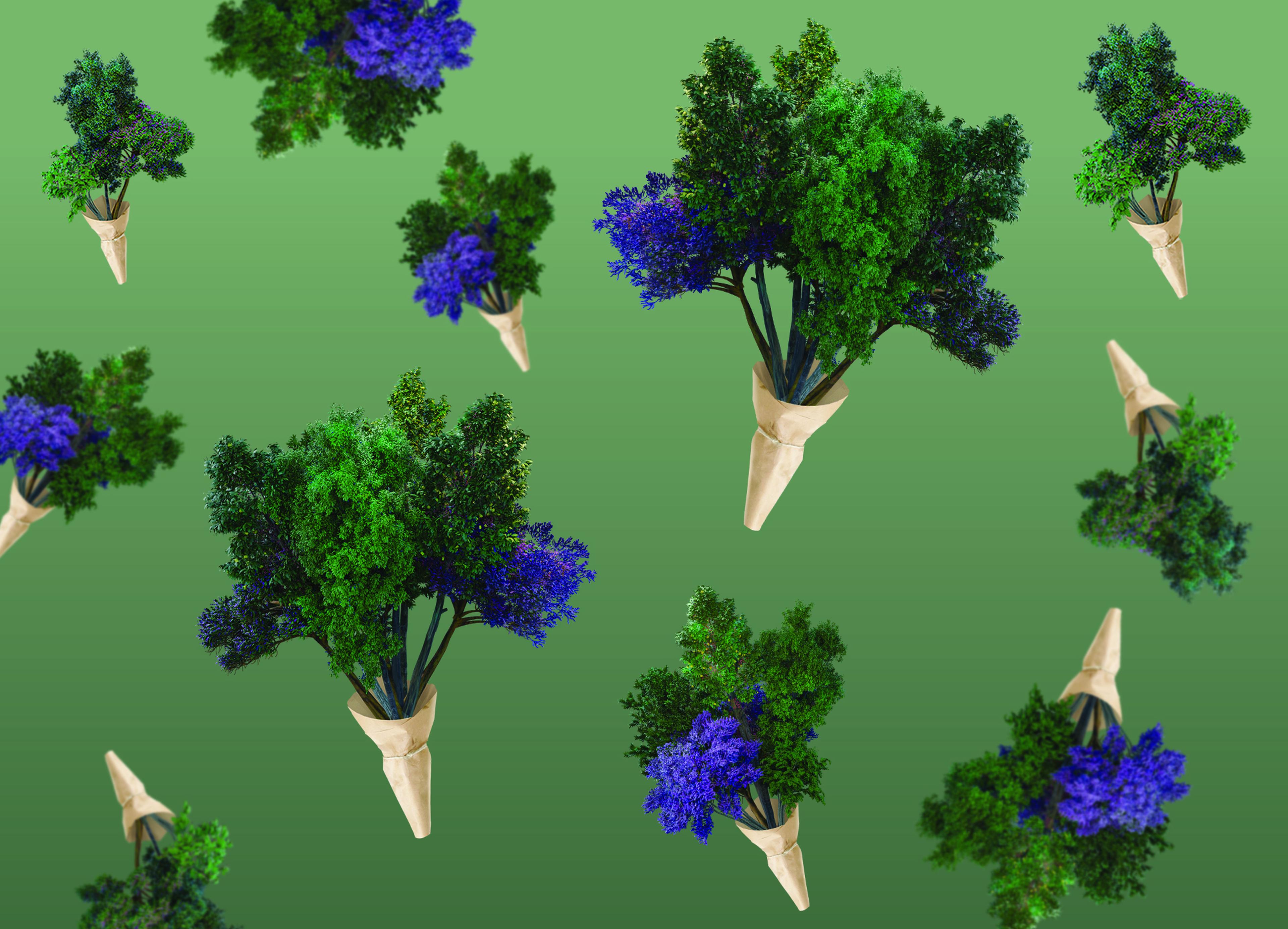 Bosjes bomen