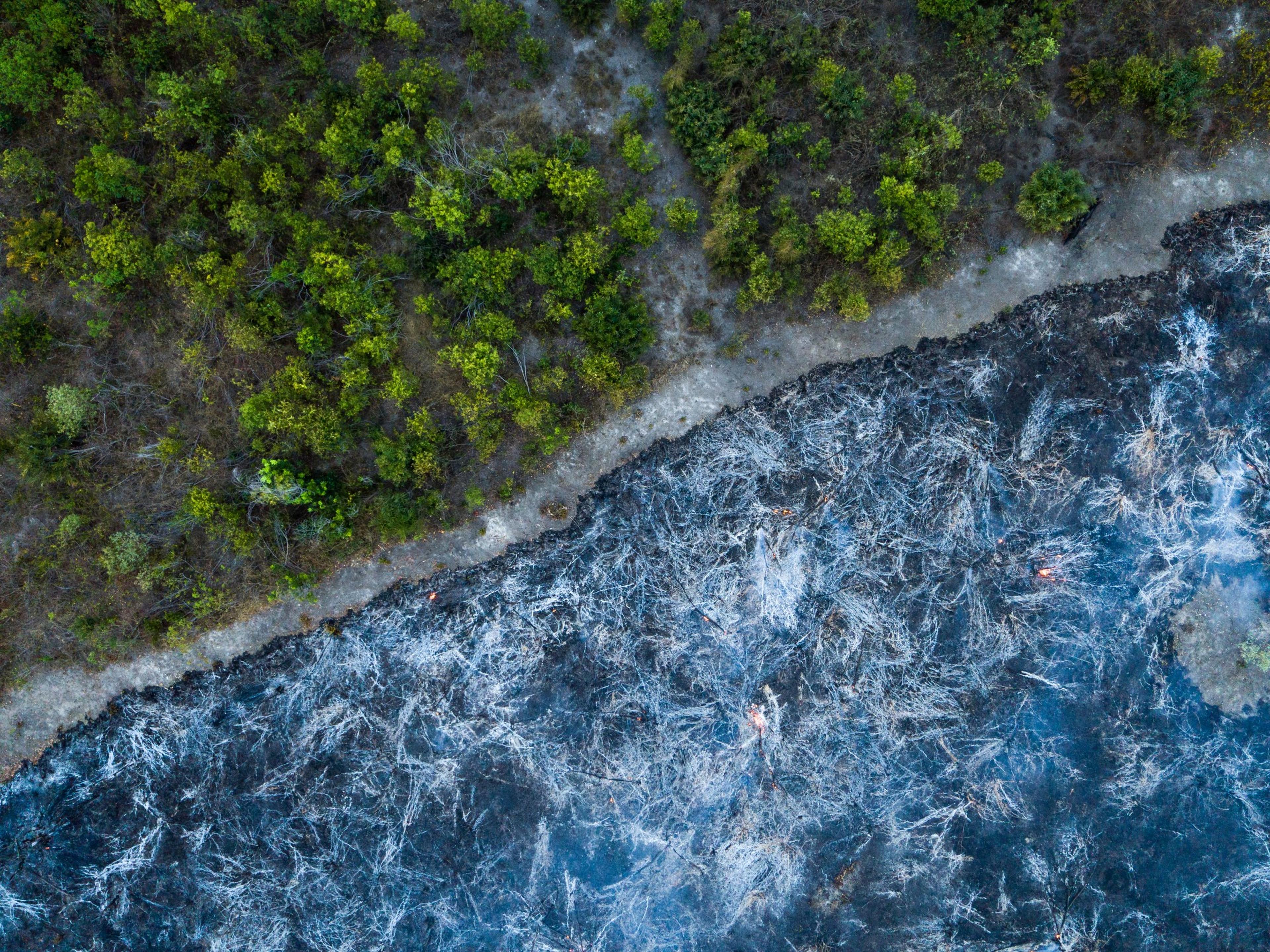 Bovenaanzicht van een stuk verbrand bos in Brazilië