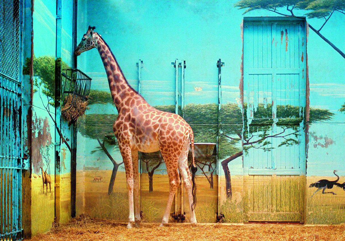 Het werk Zoologischer Garten Paris II van Candida Höfer