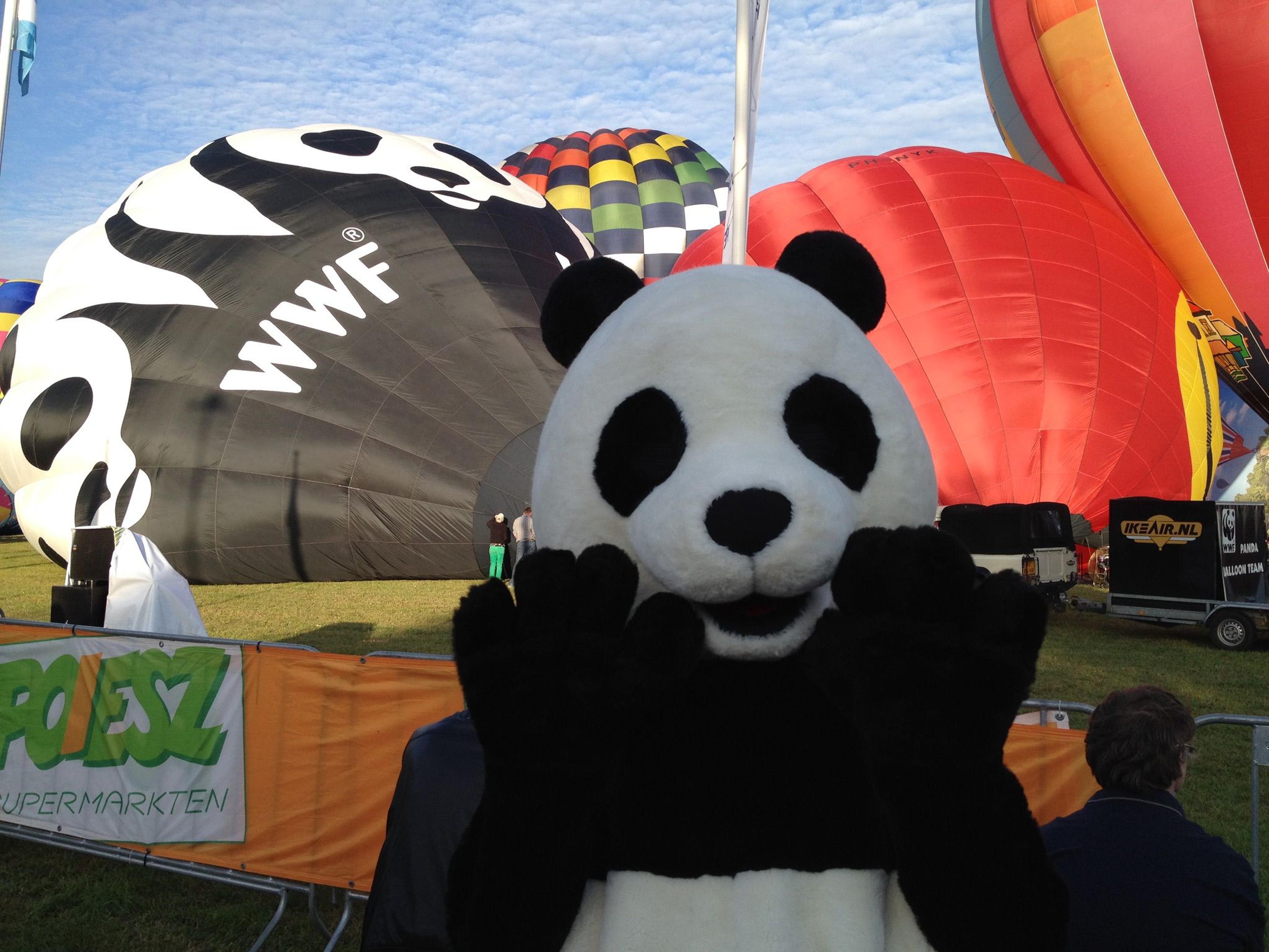 WWF-panda bij luchtballonnen