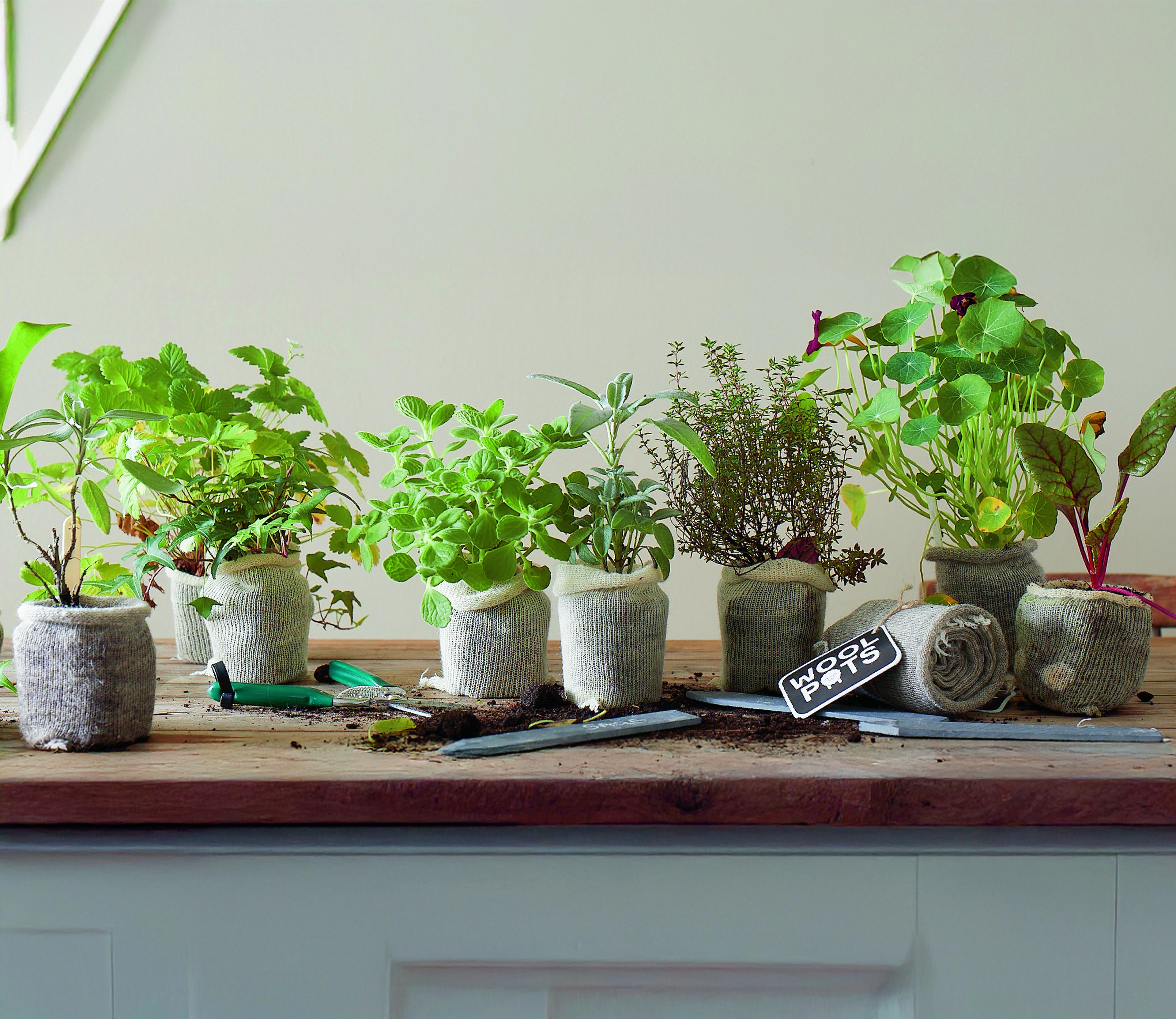Wool pots