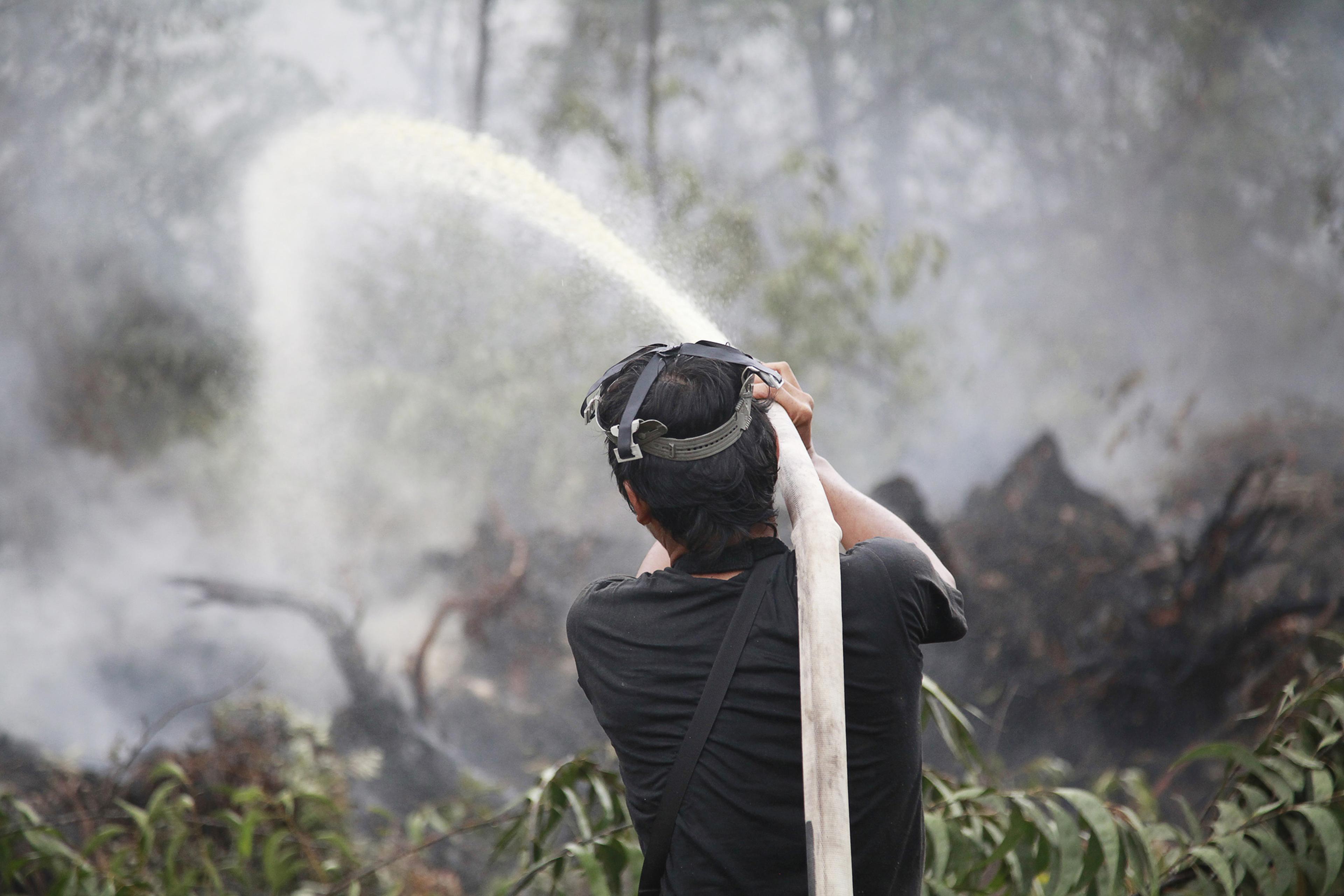 Brandweerlieden bestrijden een bosbrand