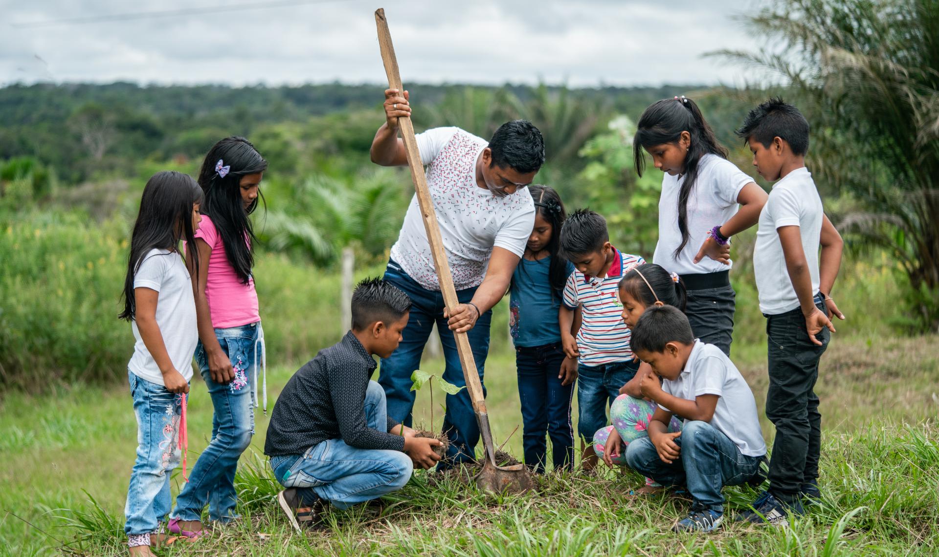 kinderen en man planten boom